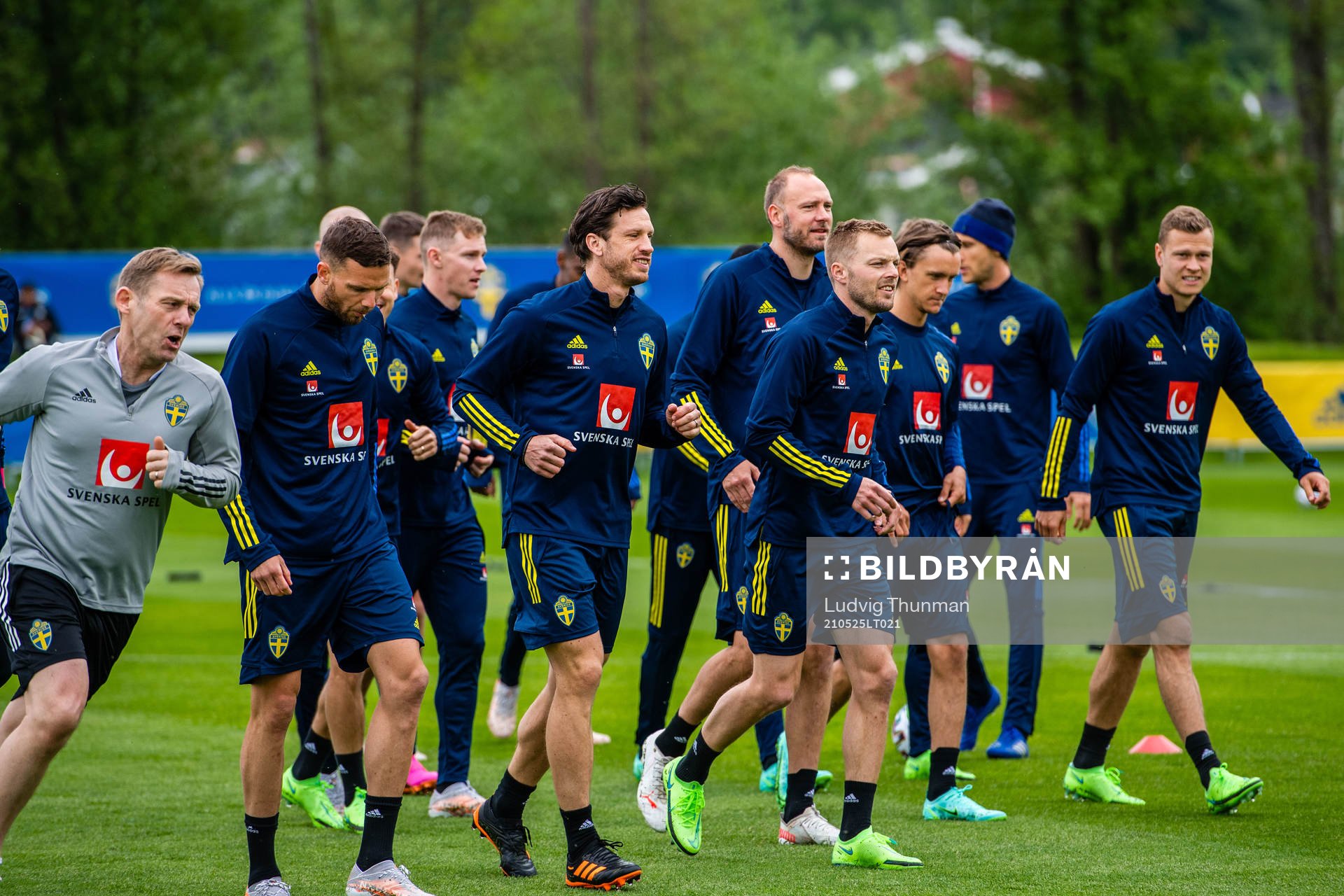 Players of Sweden