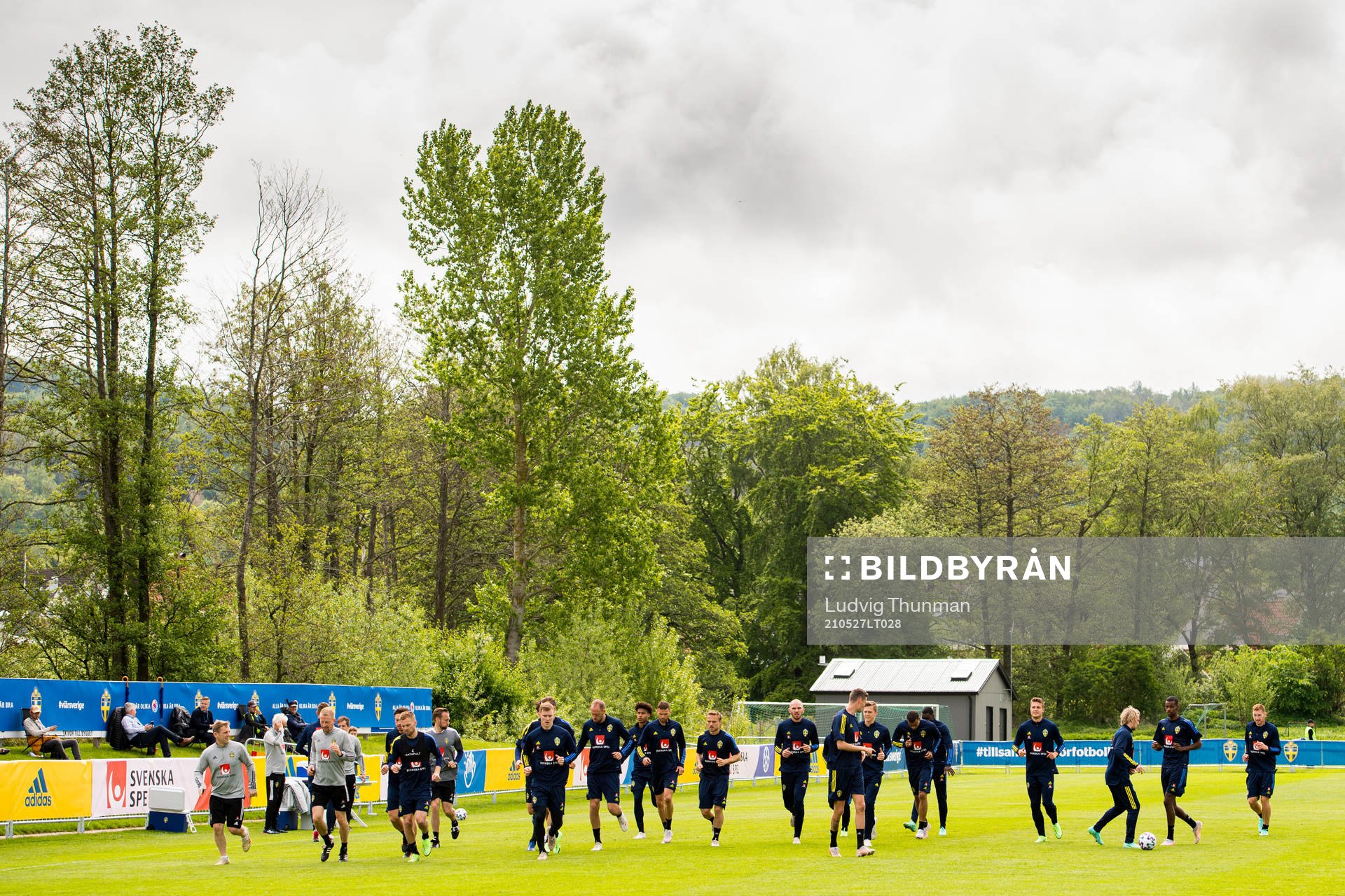 Players of Sweden