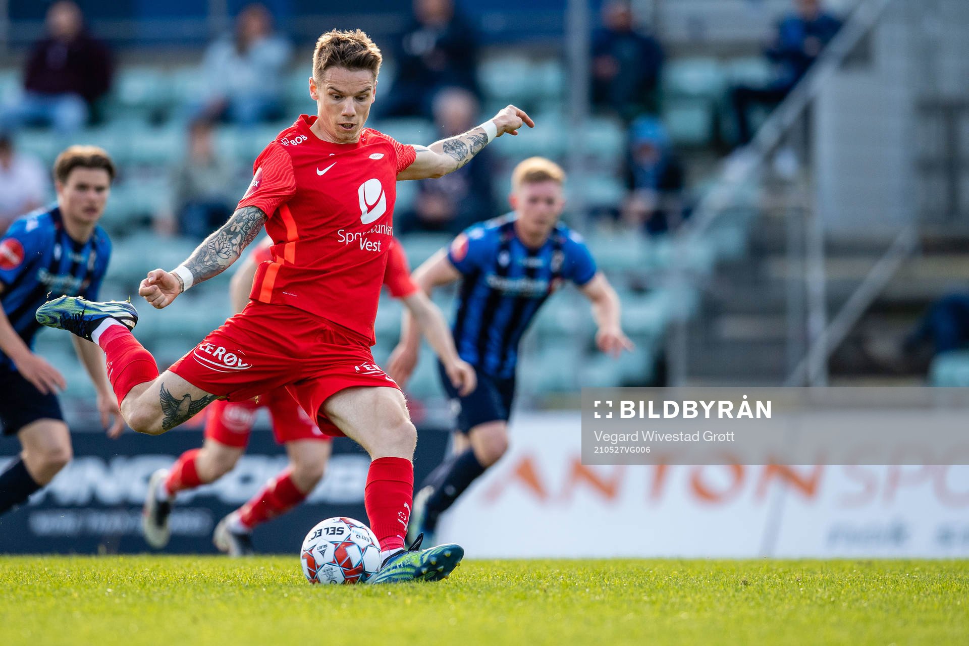 Robert Taylor of Brann