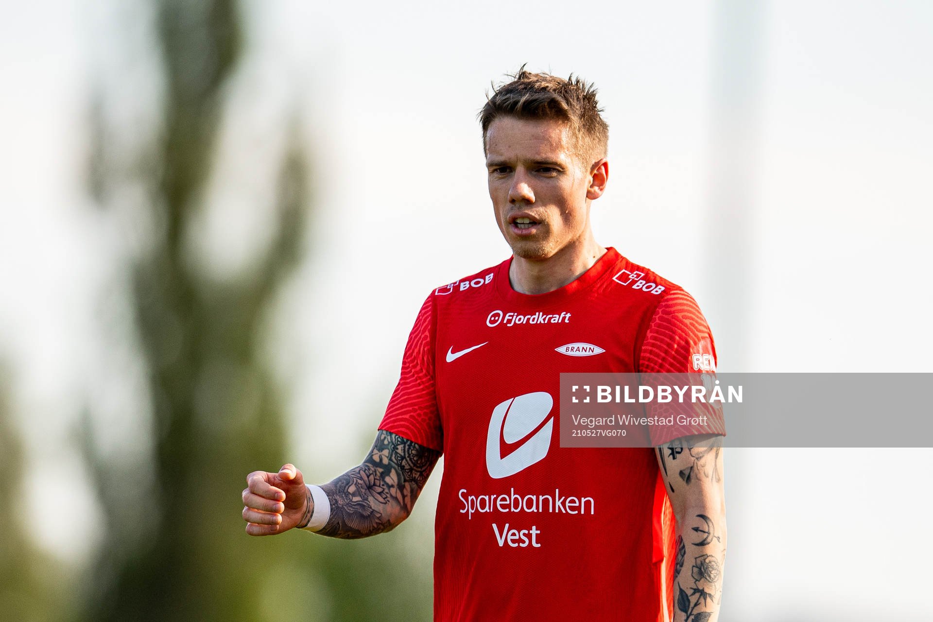 Robert Taylor of Brann