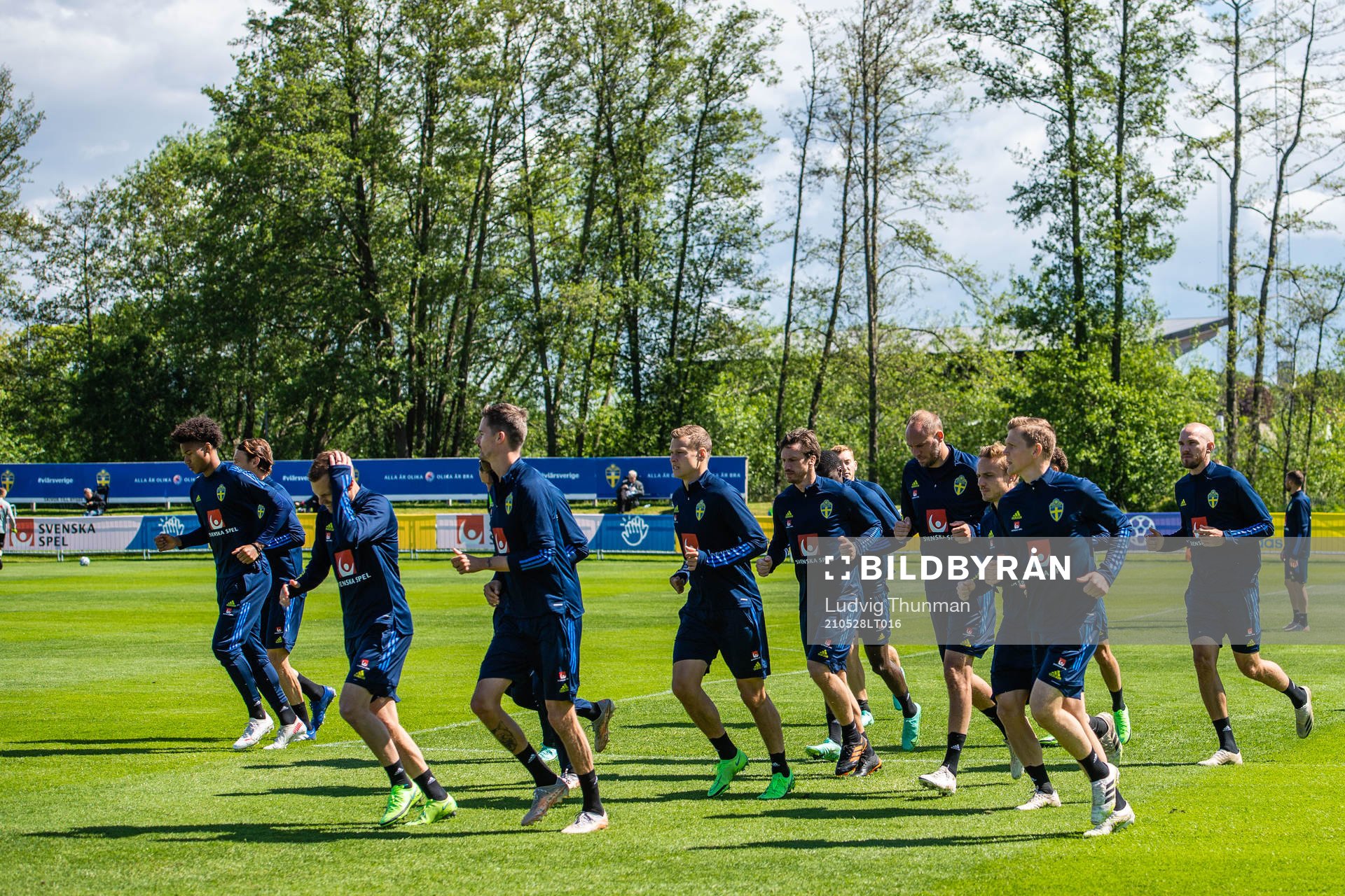 Players of Sweden