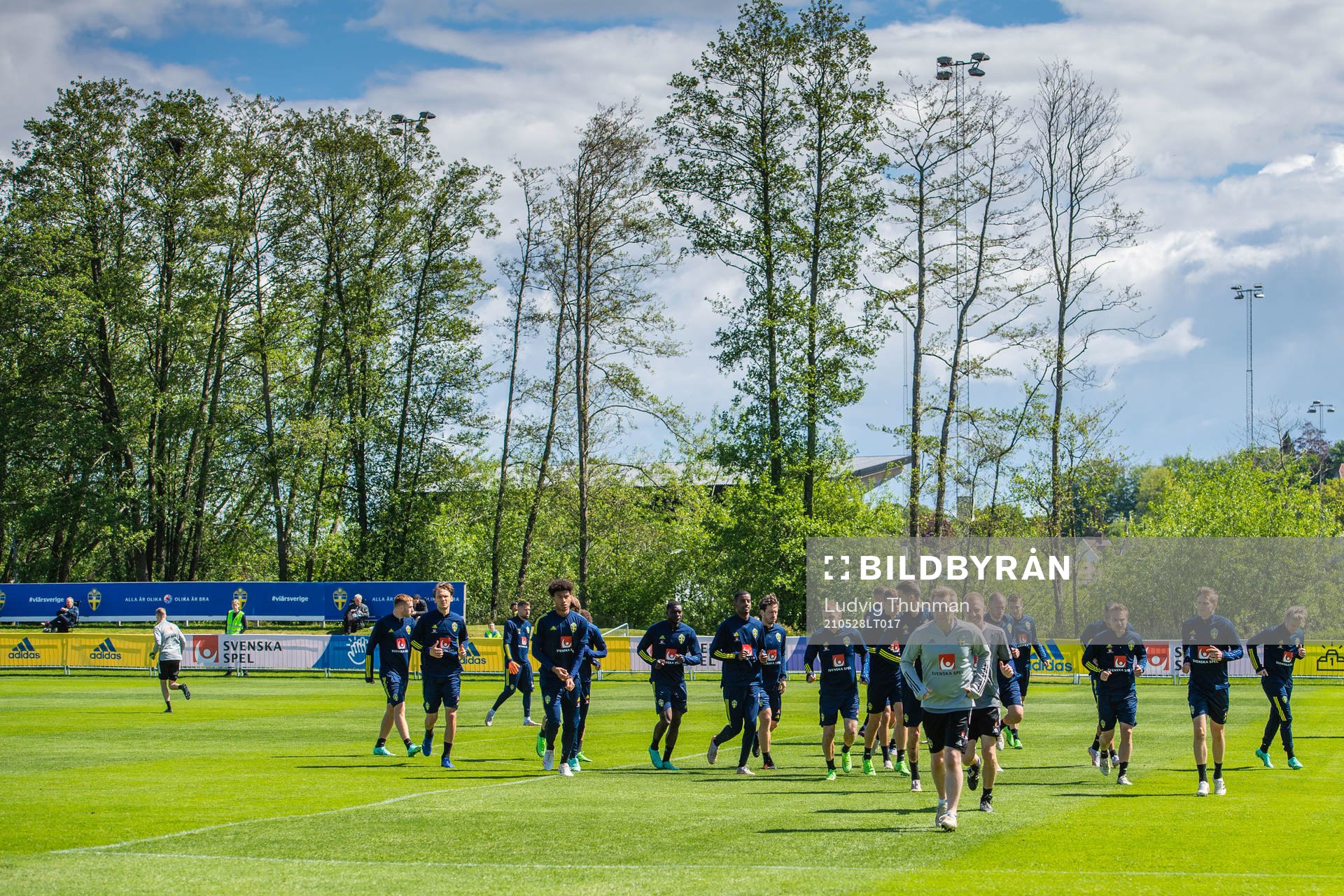 Players of Sweden