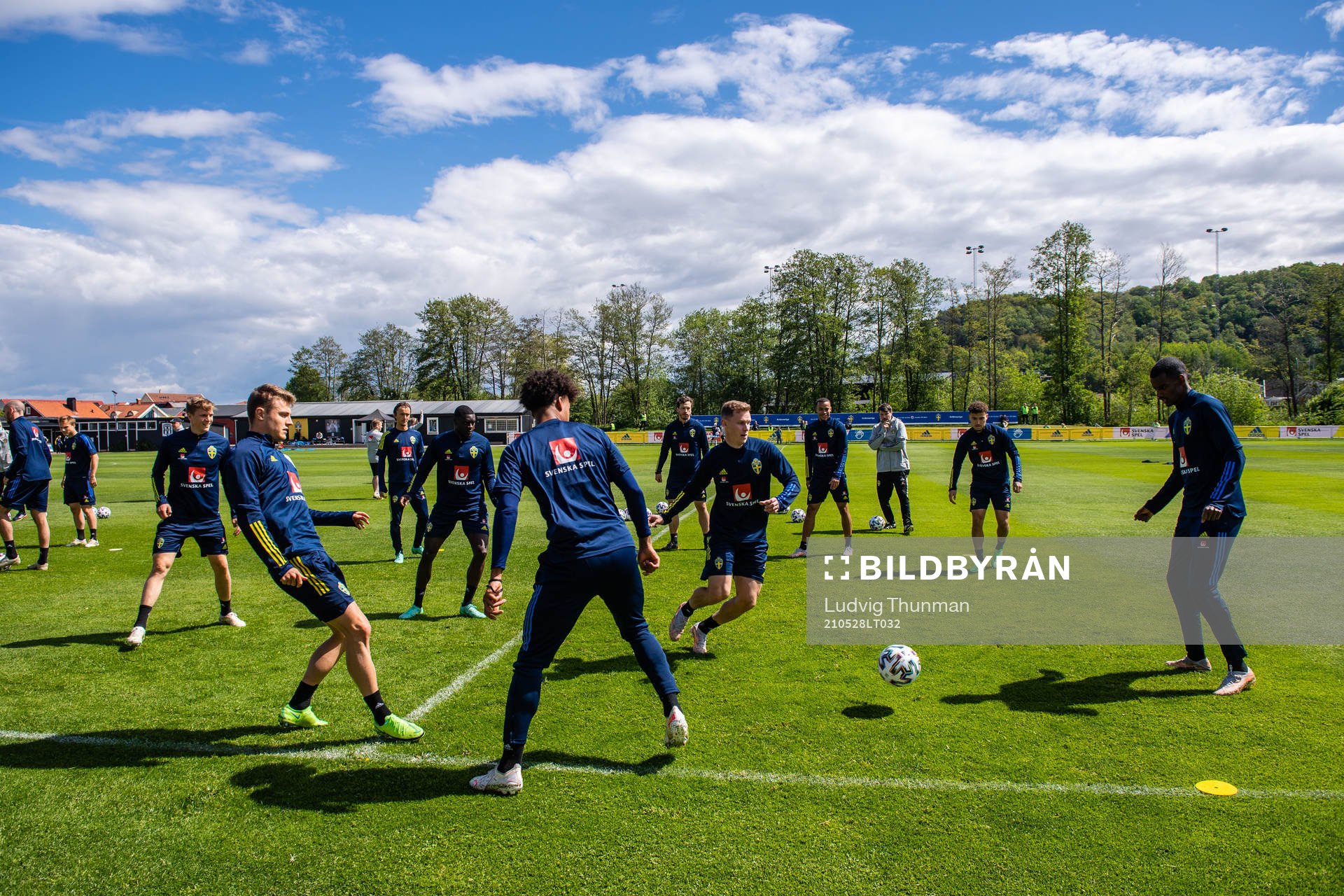 Players of Sweden