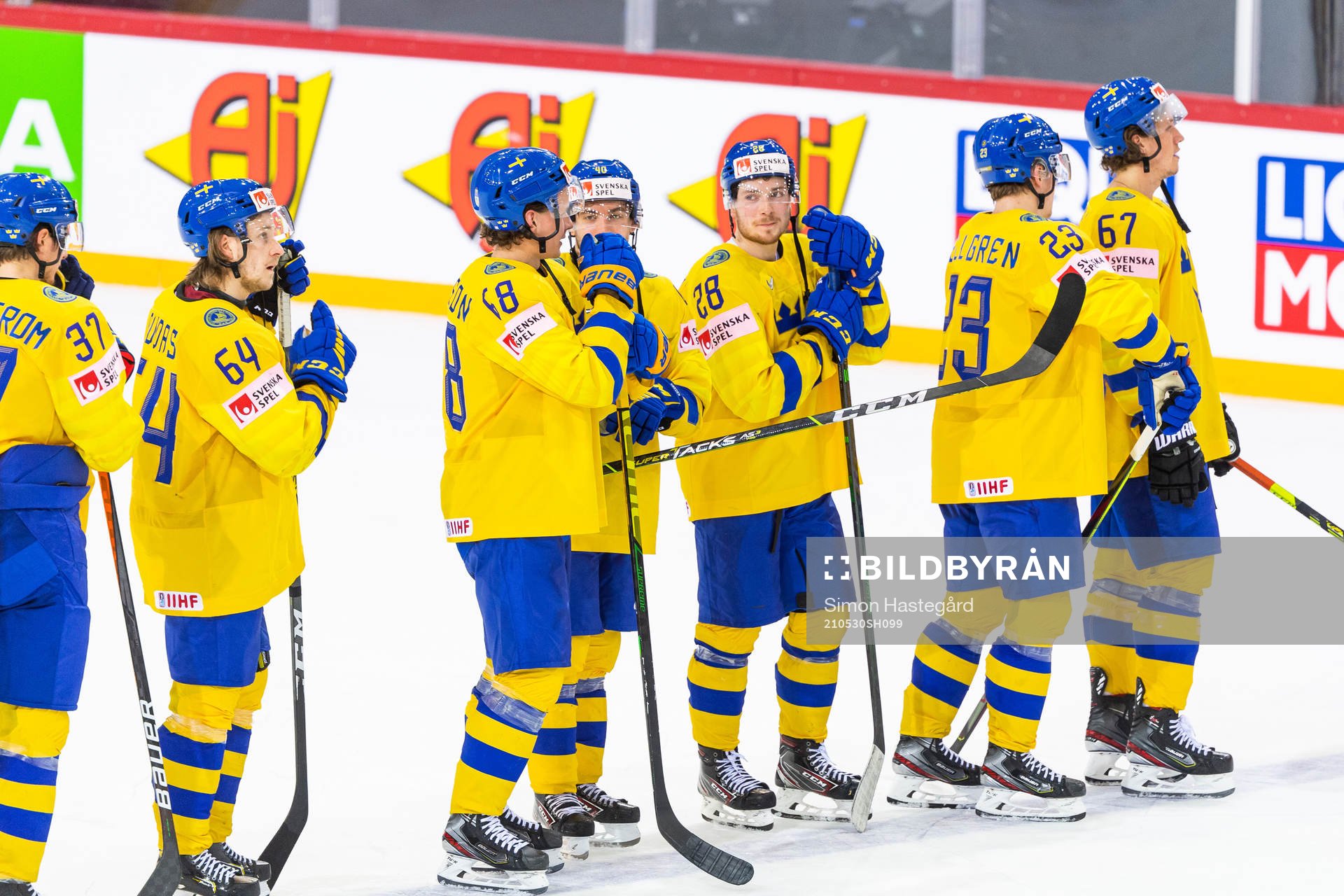 Players of Sweden