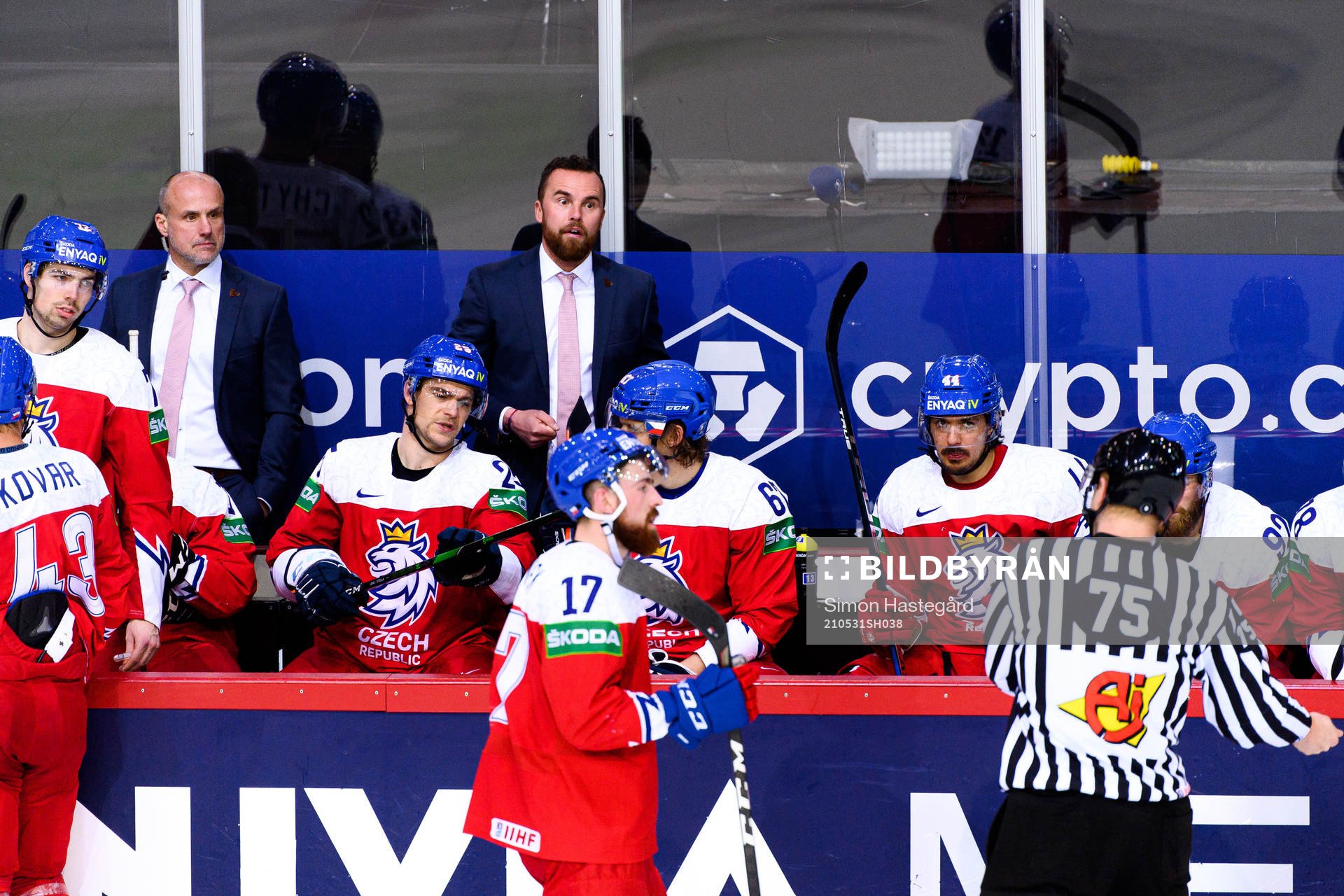 Filip Pesan, head coach of Czech Republic reacts