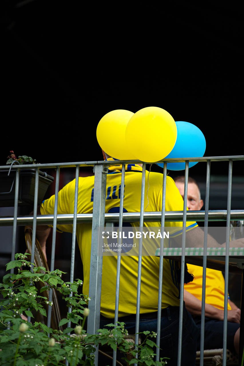 A Swedish fan