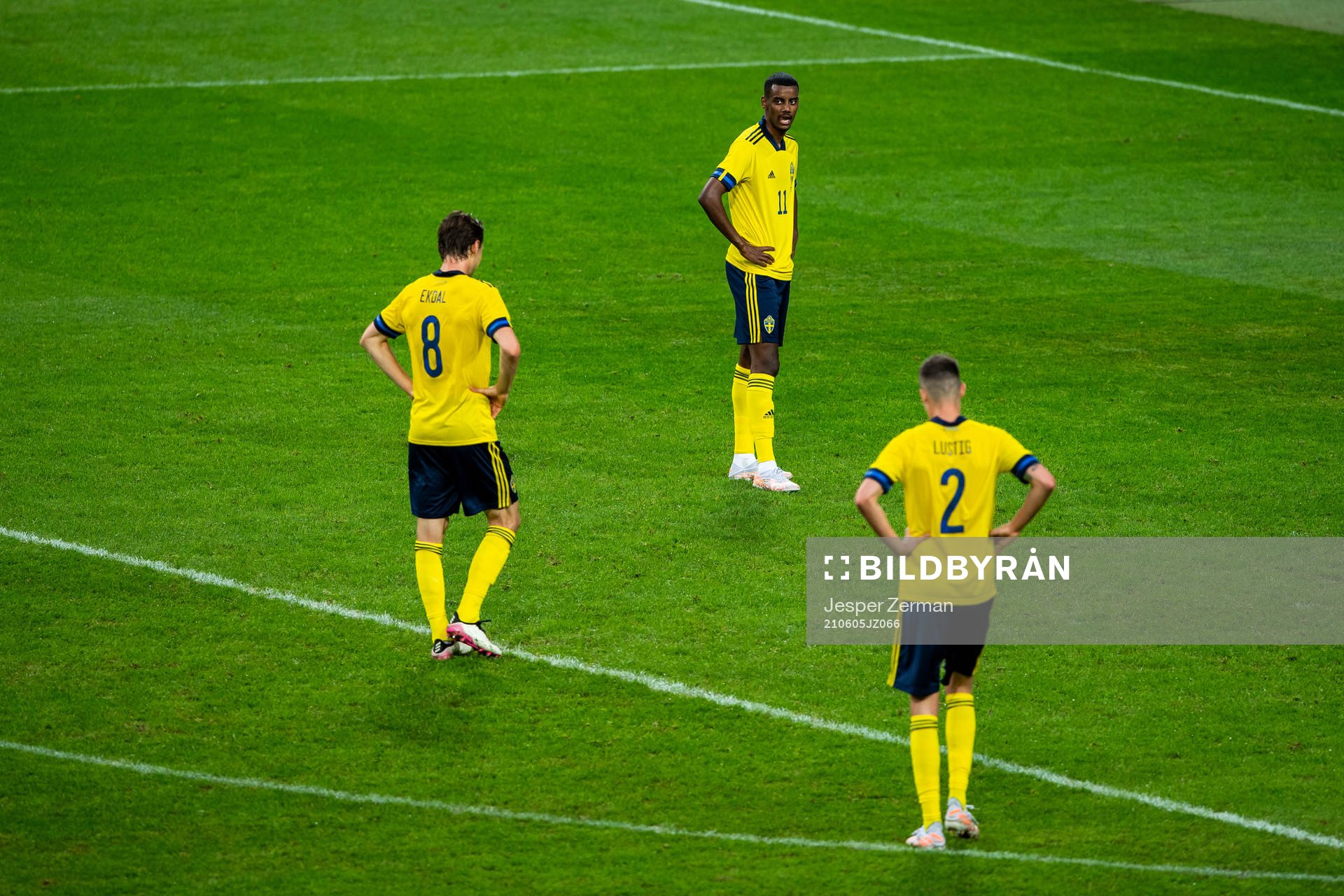 Albin Ekdal, Alexander Isak and Mikael Lustig of Sweden