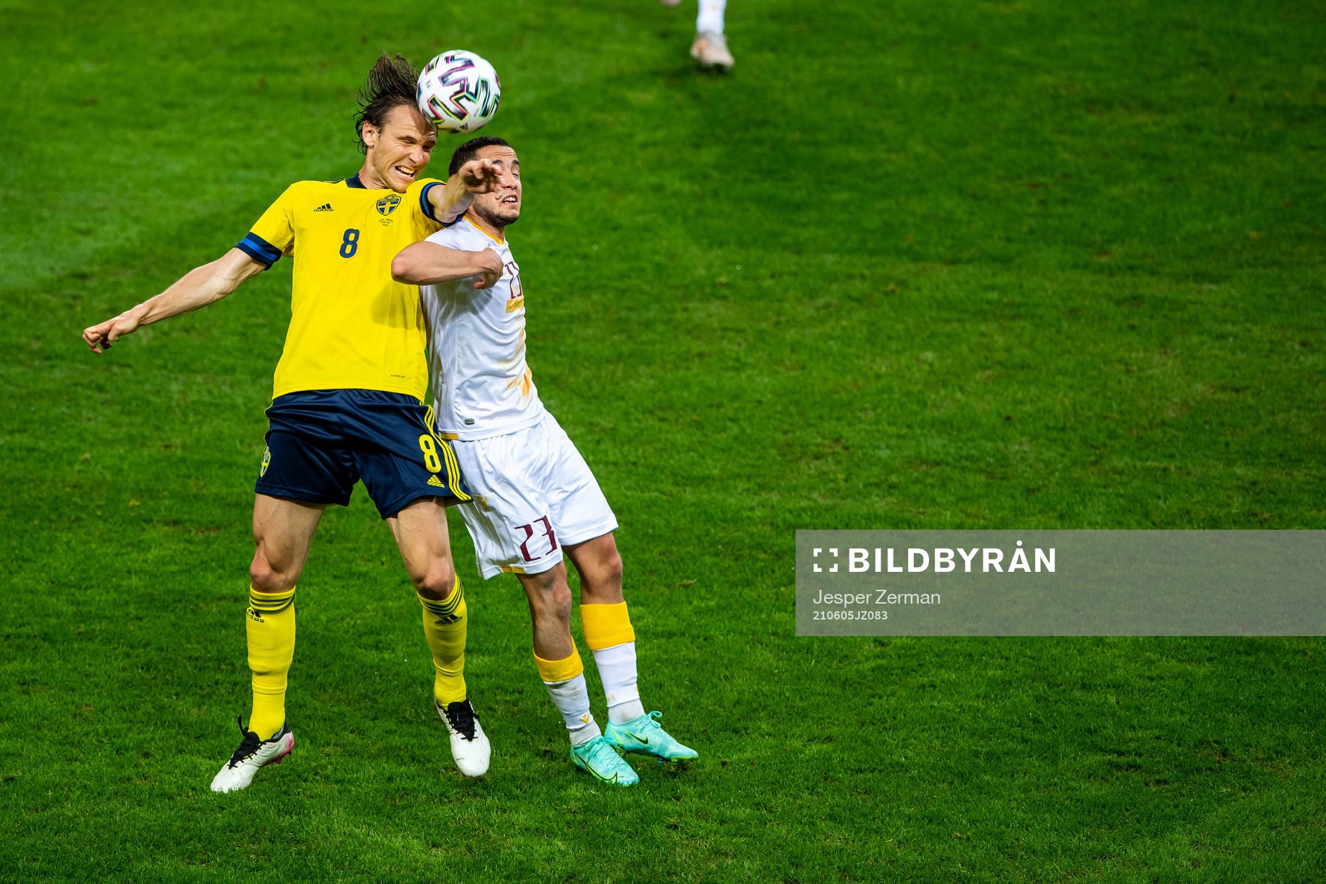 Albin Ekdal of Sweden and Vahan Bichakhcyan of Armenia