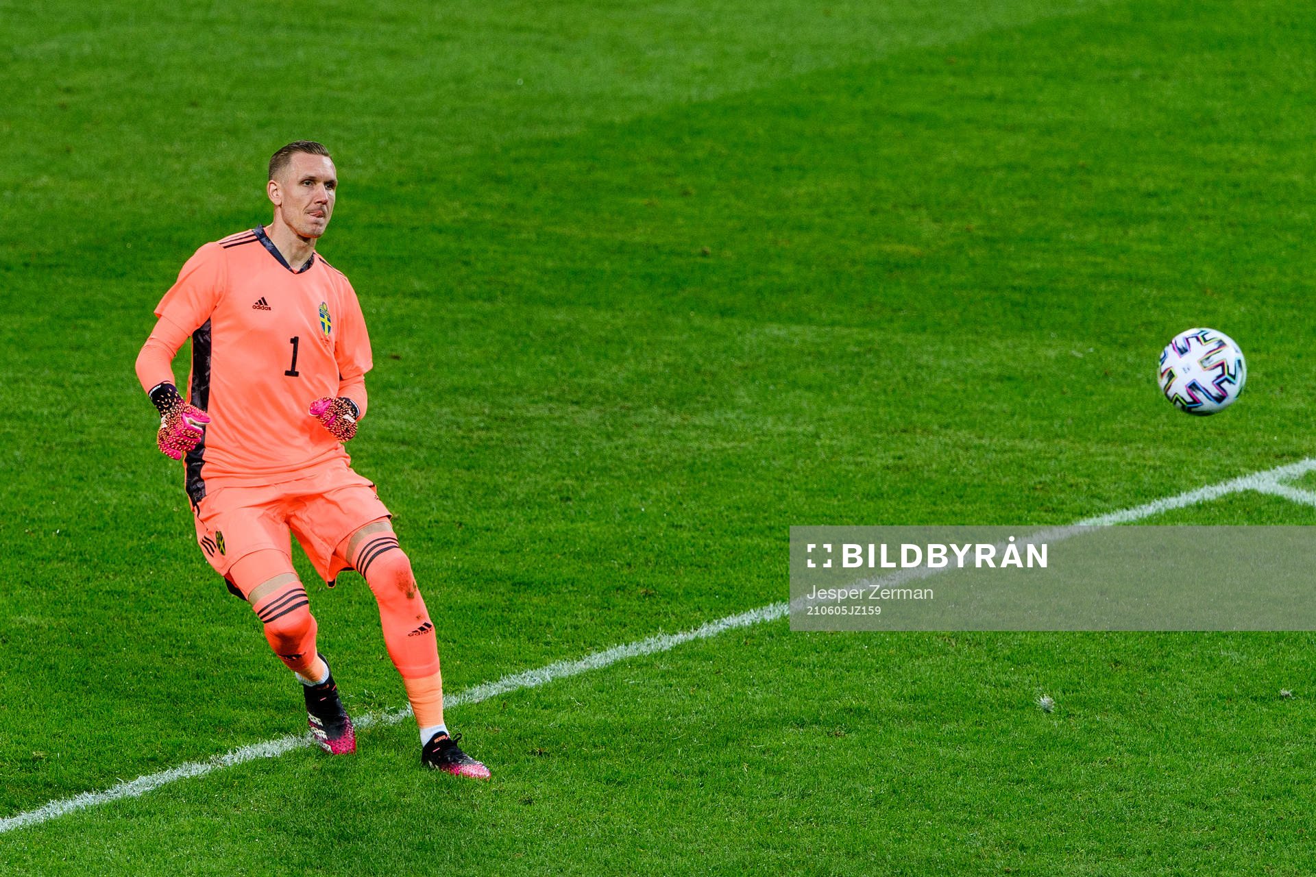 goalkeeper Robin Olsen of Sweden