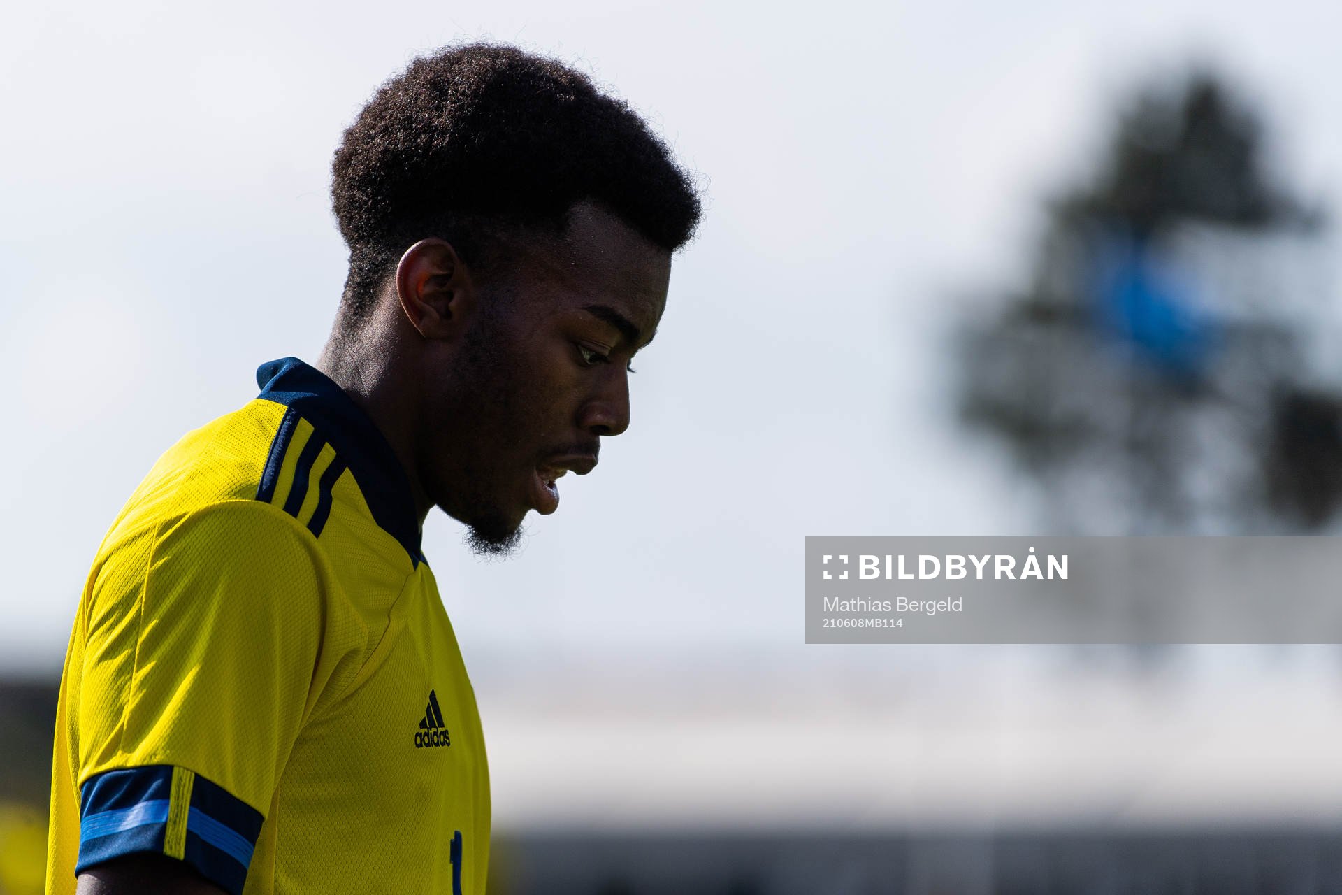 Anthony Elanga of Sweden