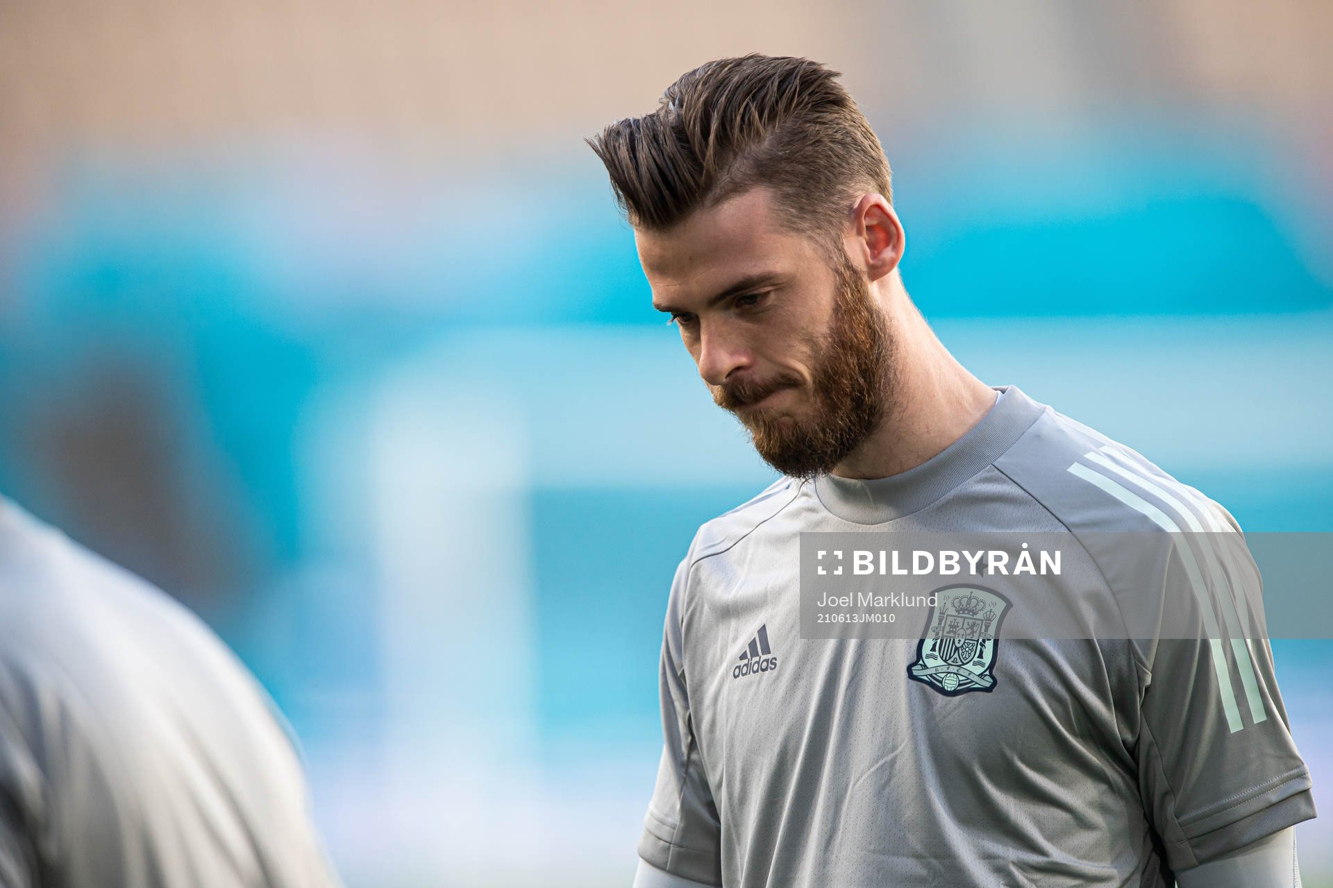 David de Gea of the Spanish national football team at a