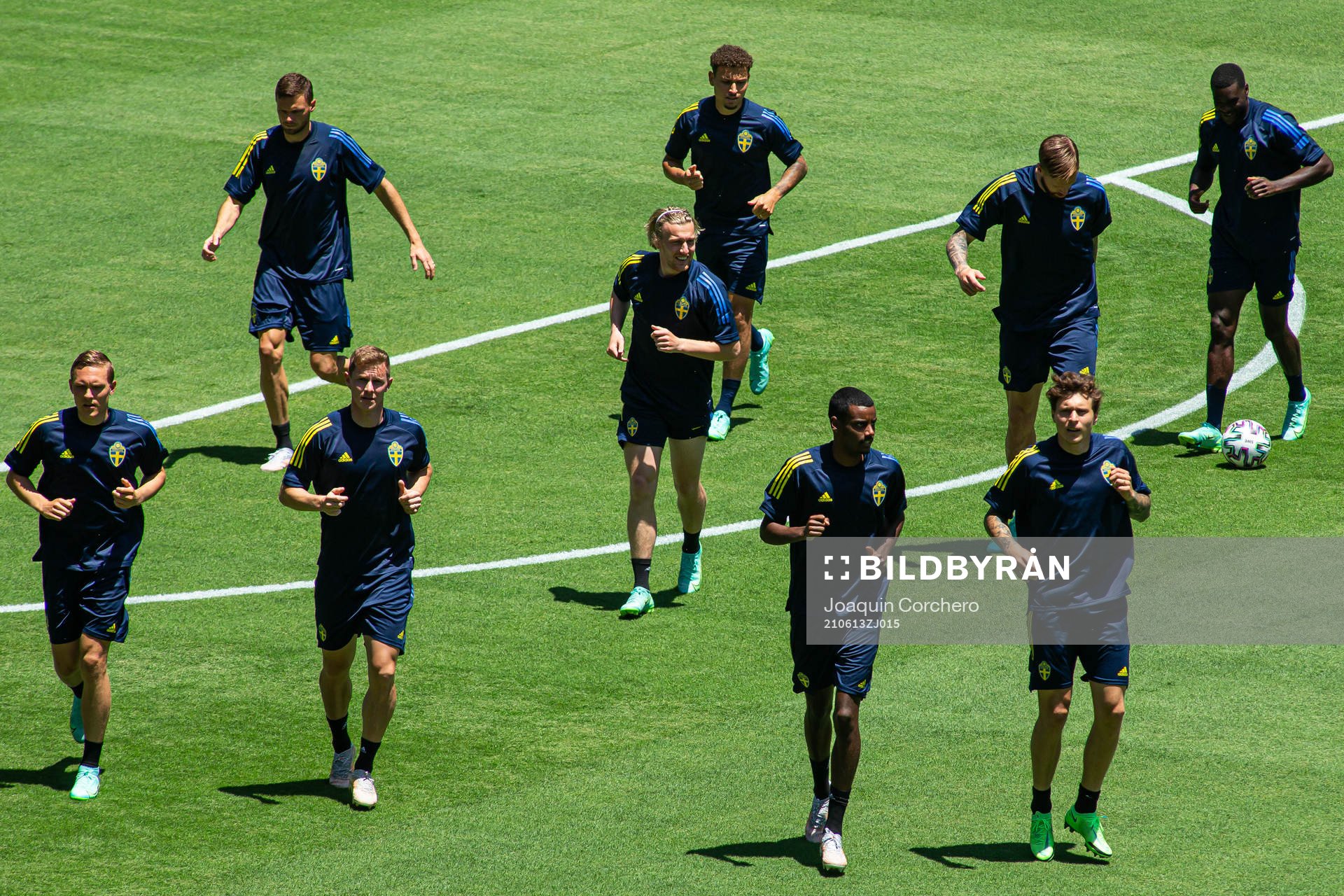 Ludwig Augustinsson, Marcus Berg, Emil Krafth, Emil