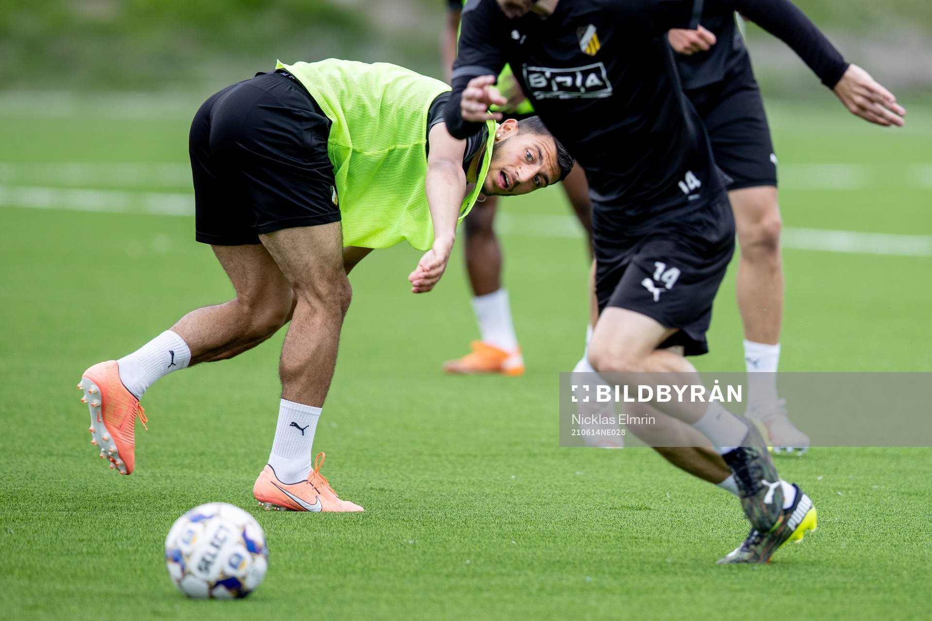 Häckens Leonardo Farah Shahin