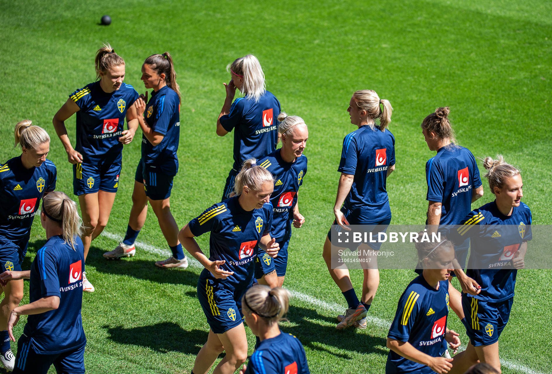 Players of Sweden