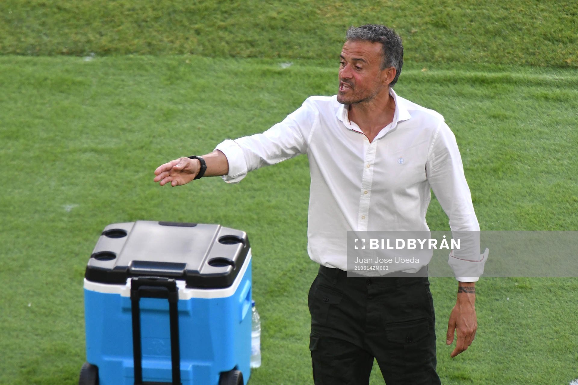 Luis Enrique, head coach of Spain