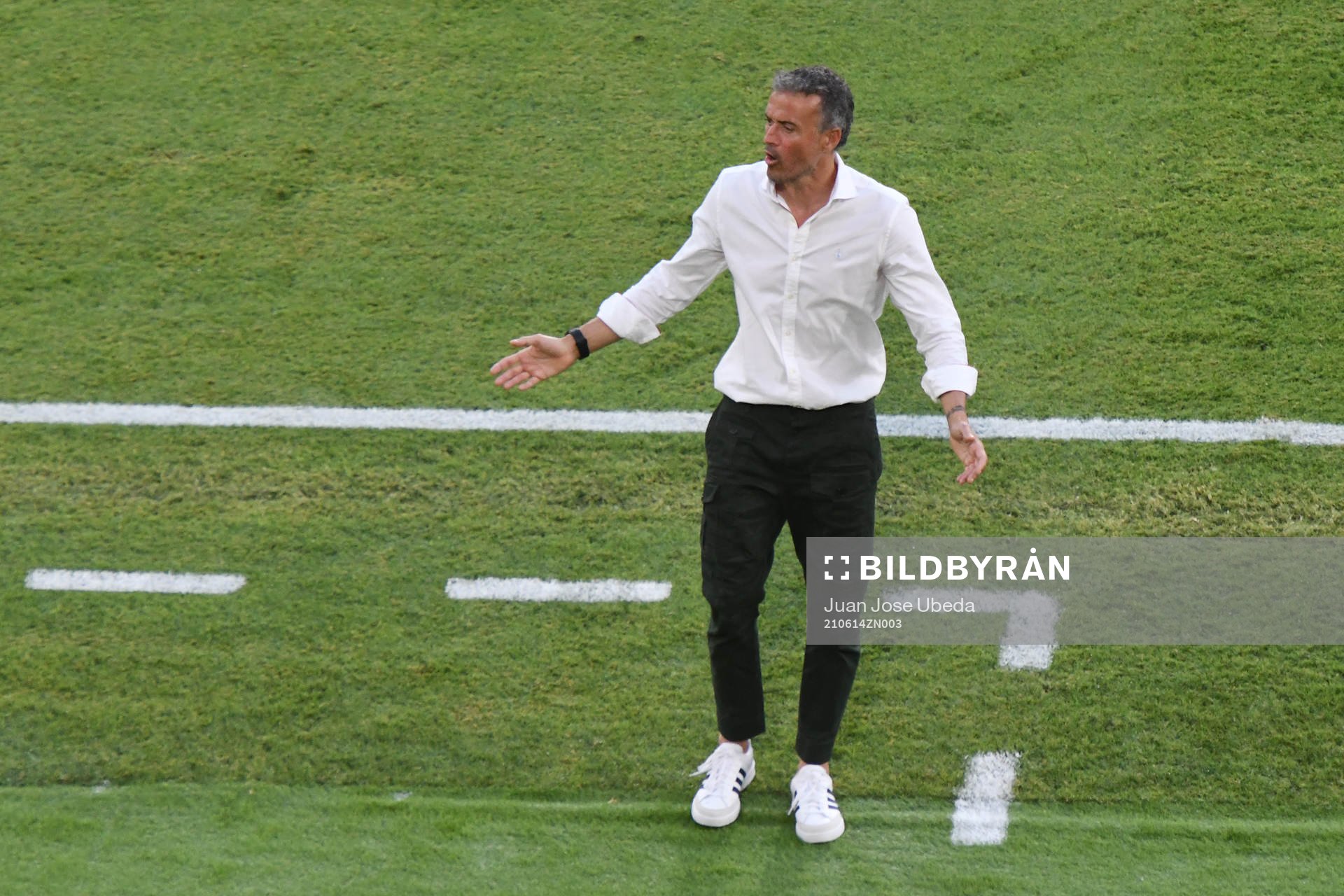 Luis Enrique, head coach of Spain