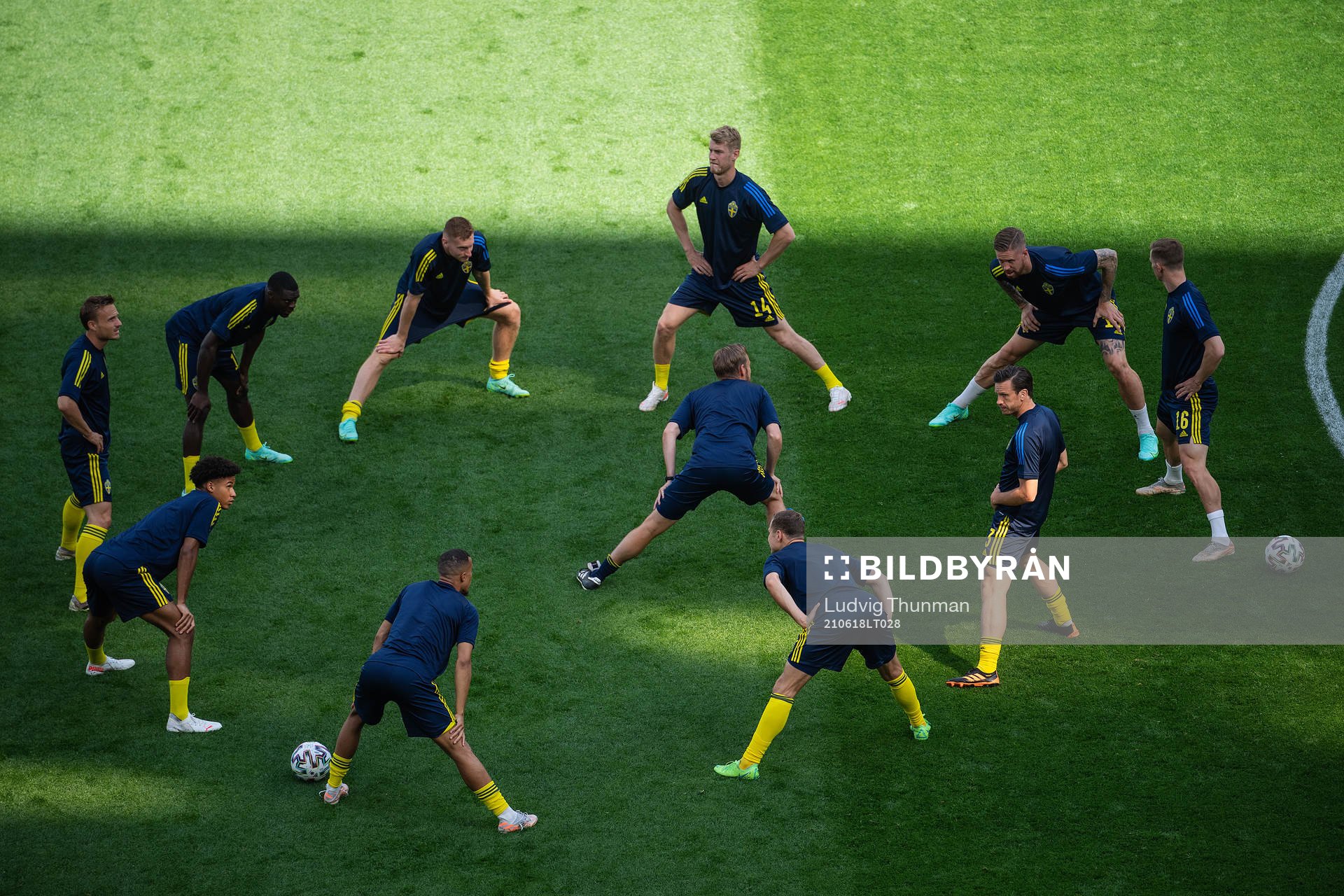 Players of Sweden