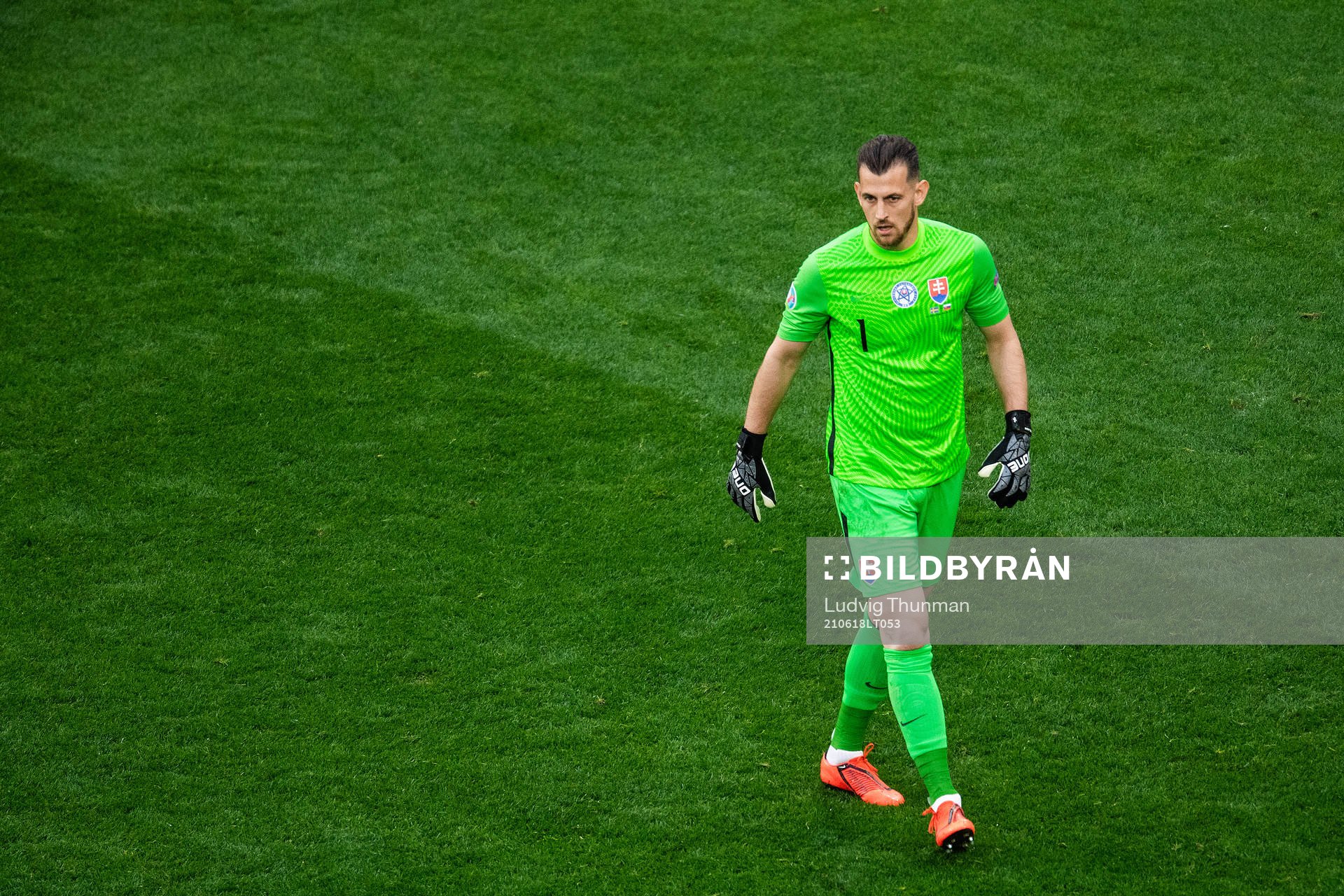 goalkeeper Martin Dubravka of Slovakia
