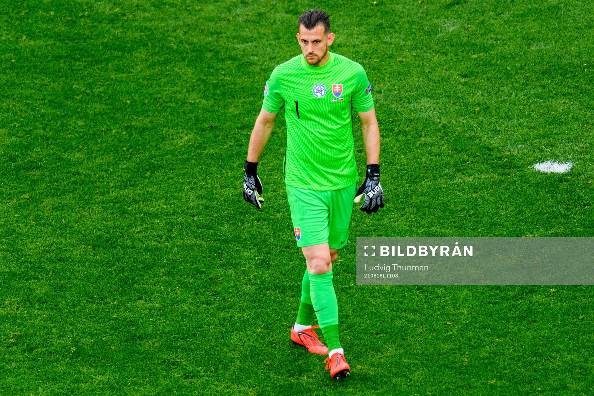 Goalkeeper Martin Dubravka of Slovakia