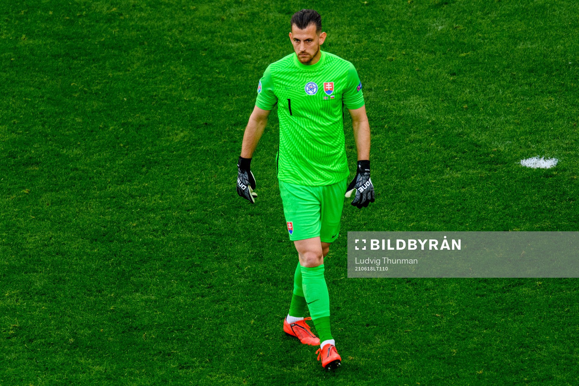 Goalkeeper Martin Dubravka of Slovakia