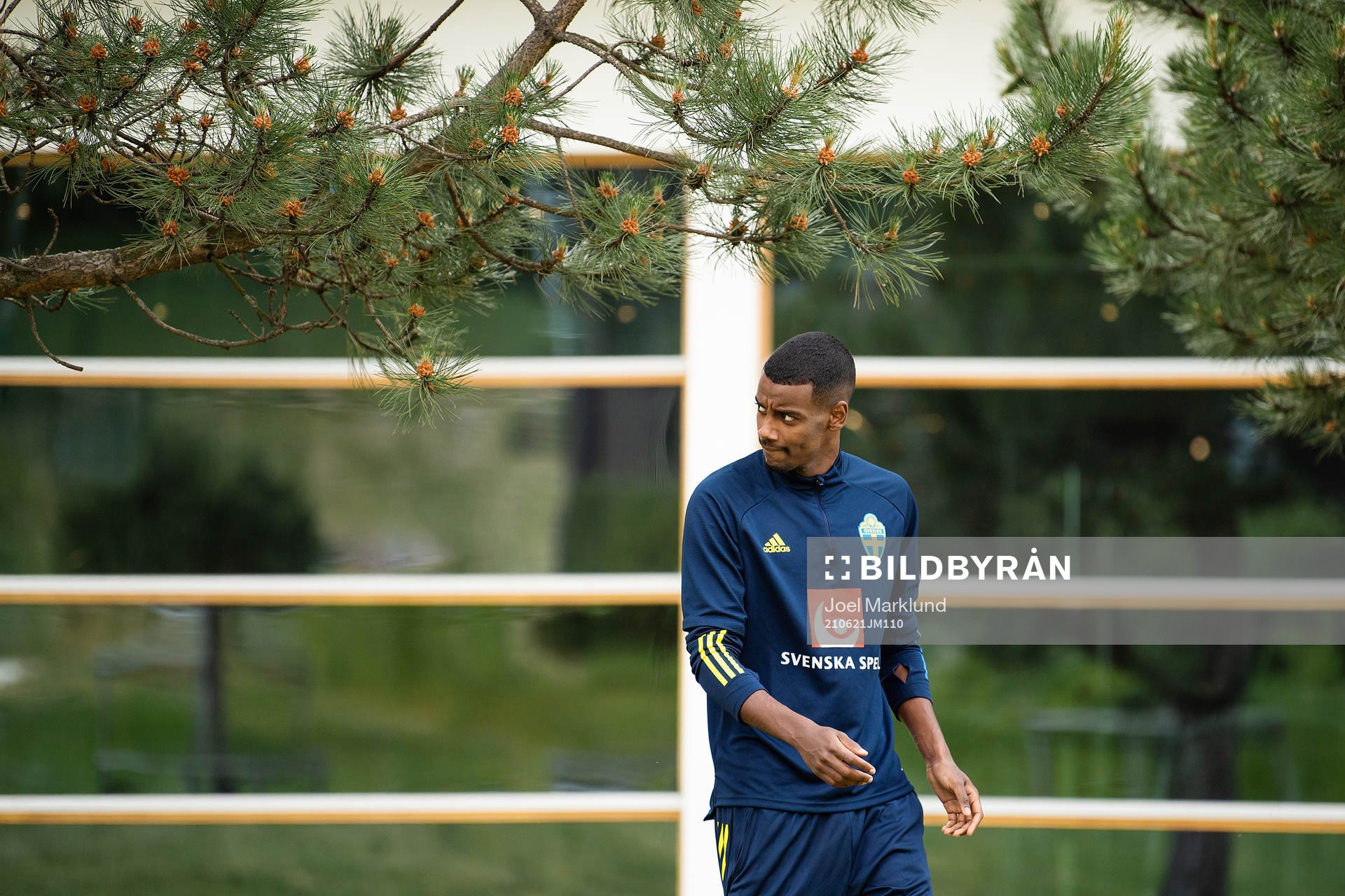 Alexander Isak of the Swedish national football team at a