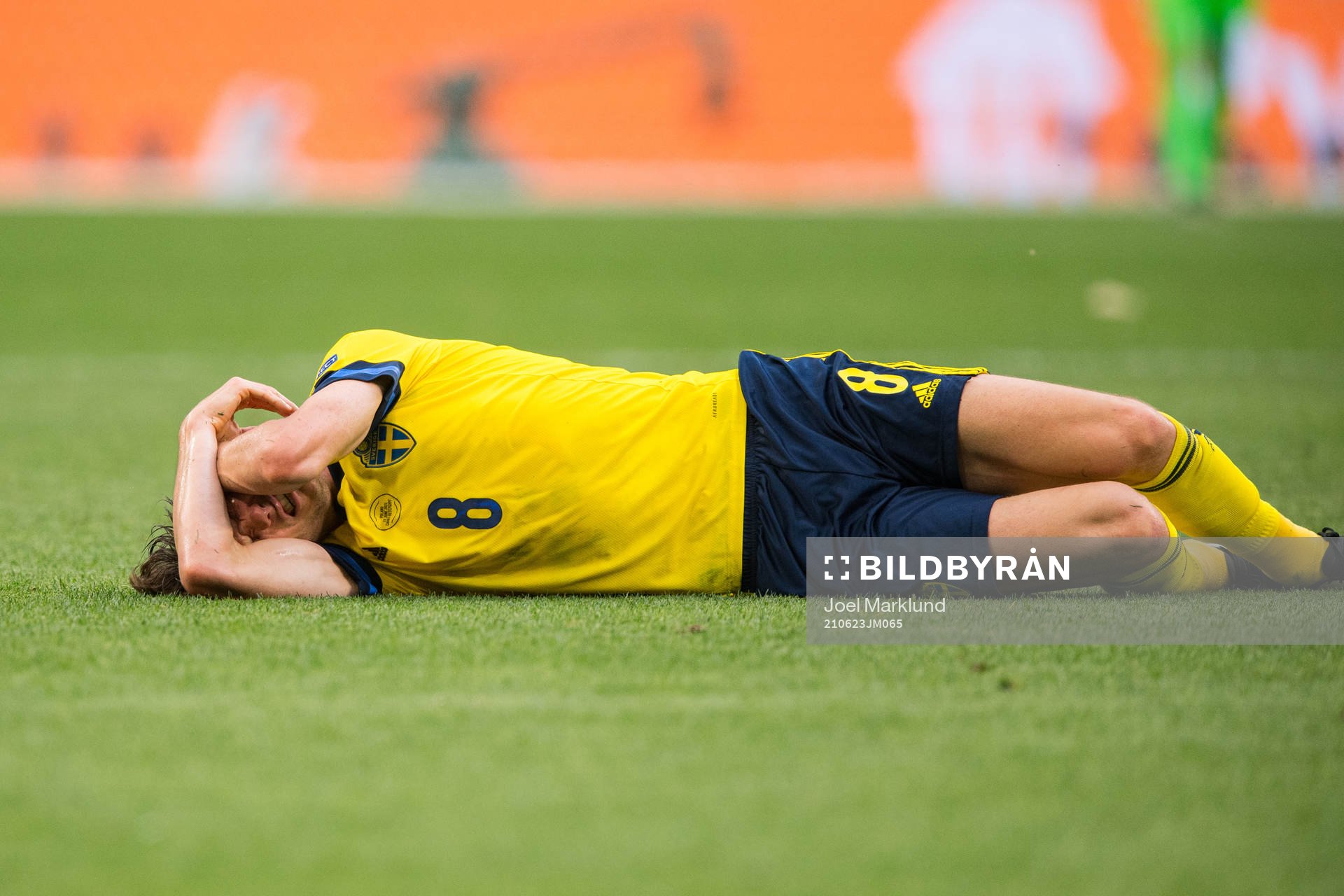 Albin Ekdal of Sweden in pain