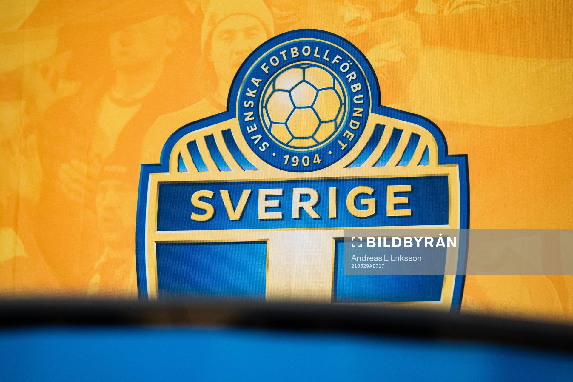The swedish football association's logo