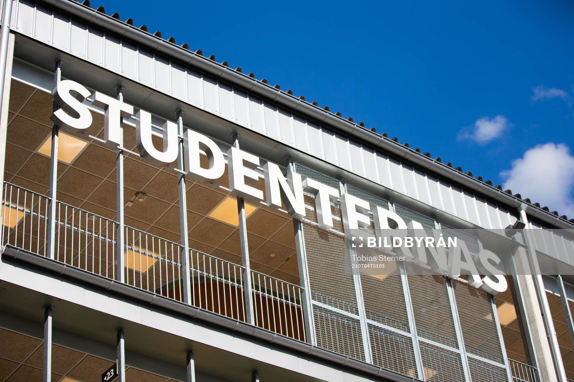 Studenternas