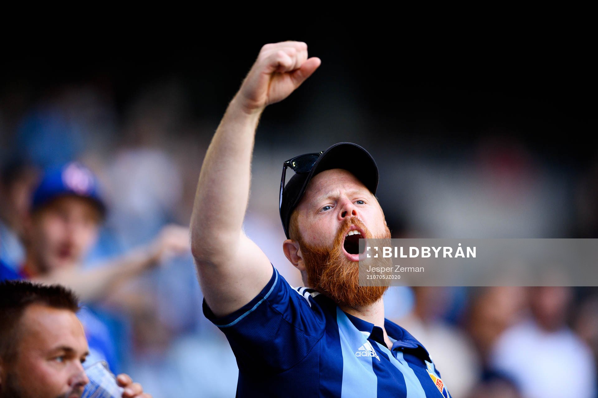 Djurgårdens supportrar