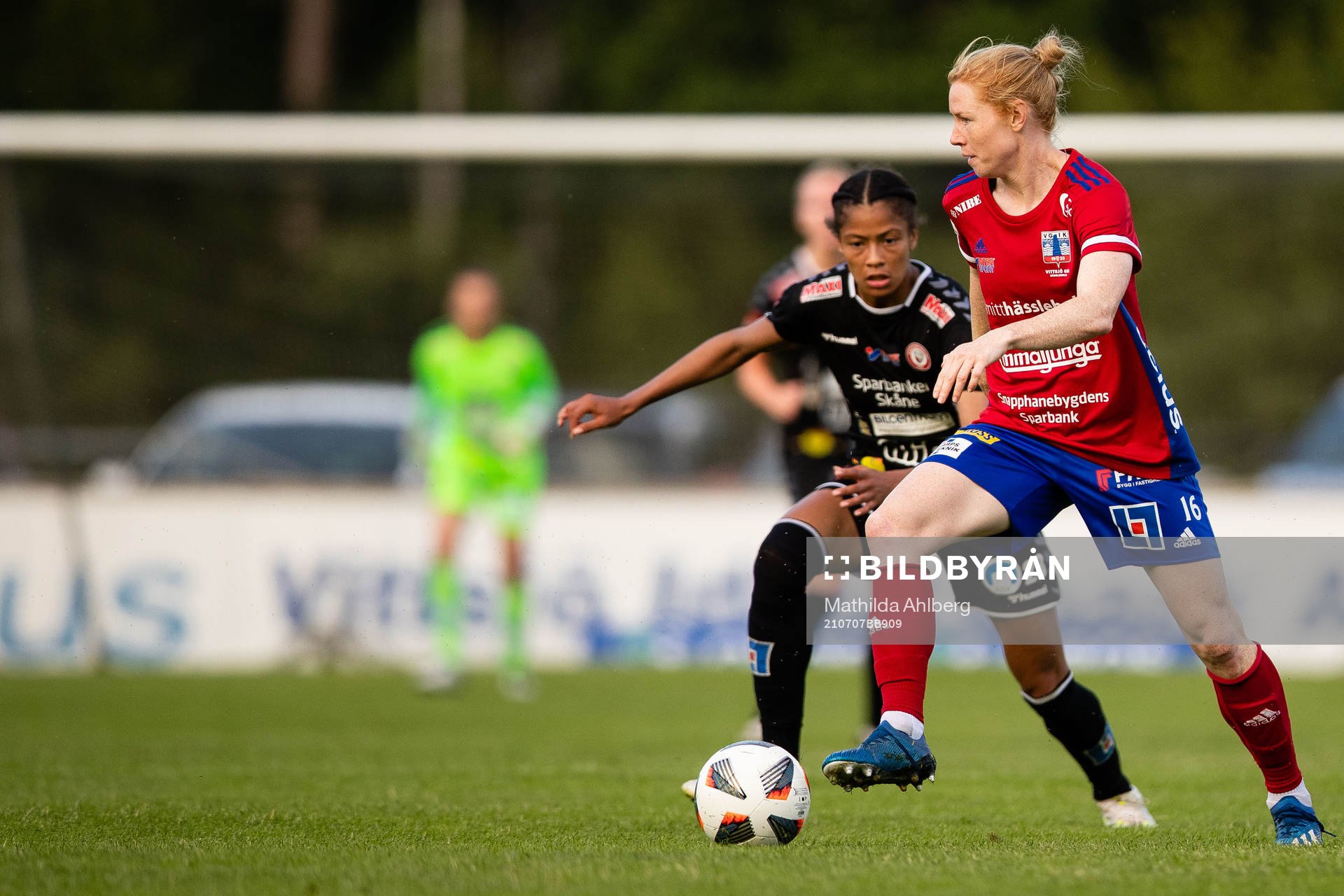 Vittsjös Clare Polkinghorn