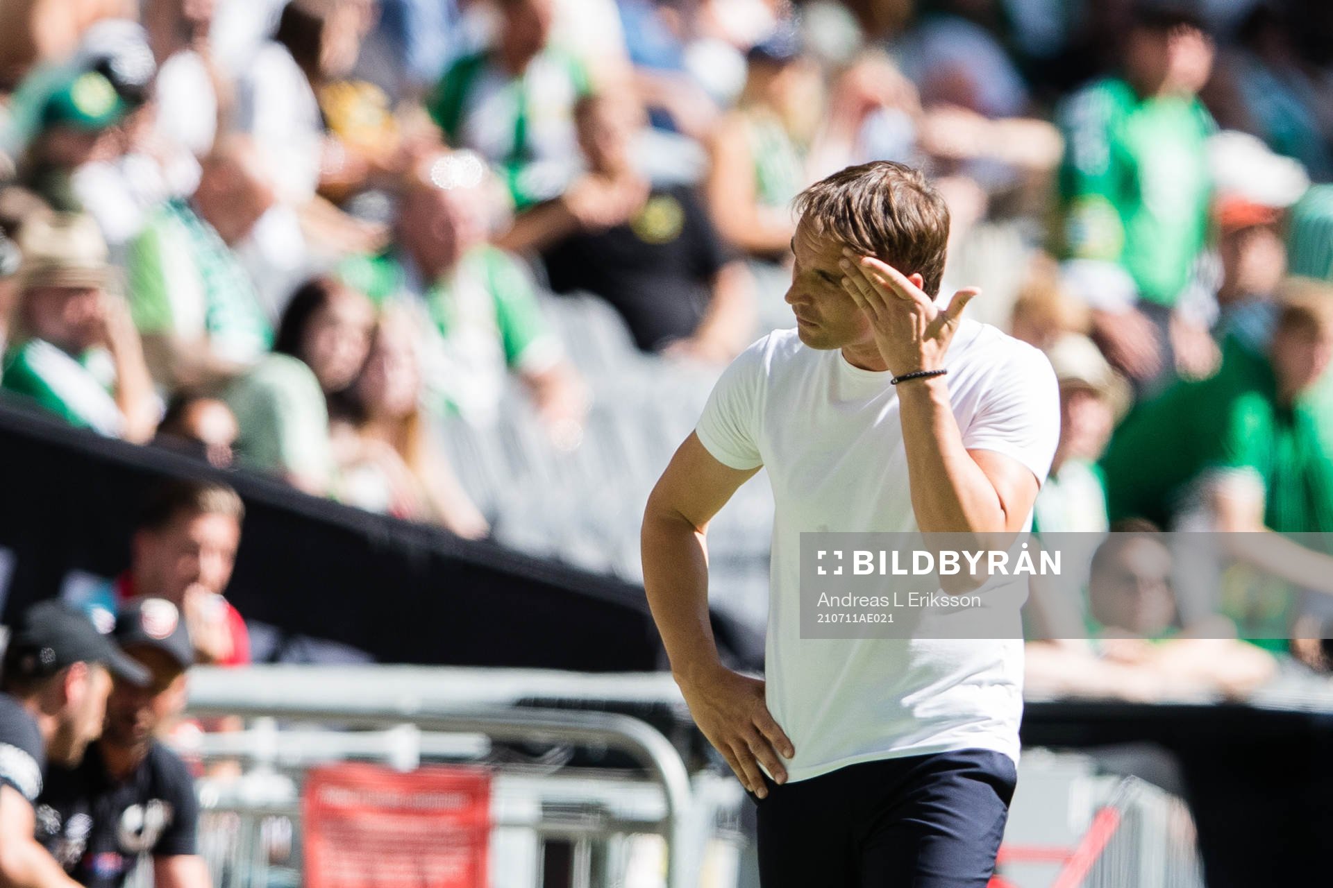 Hammarbys tränare Milos Milojevic deppar