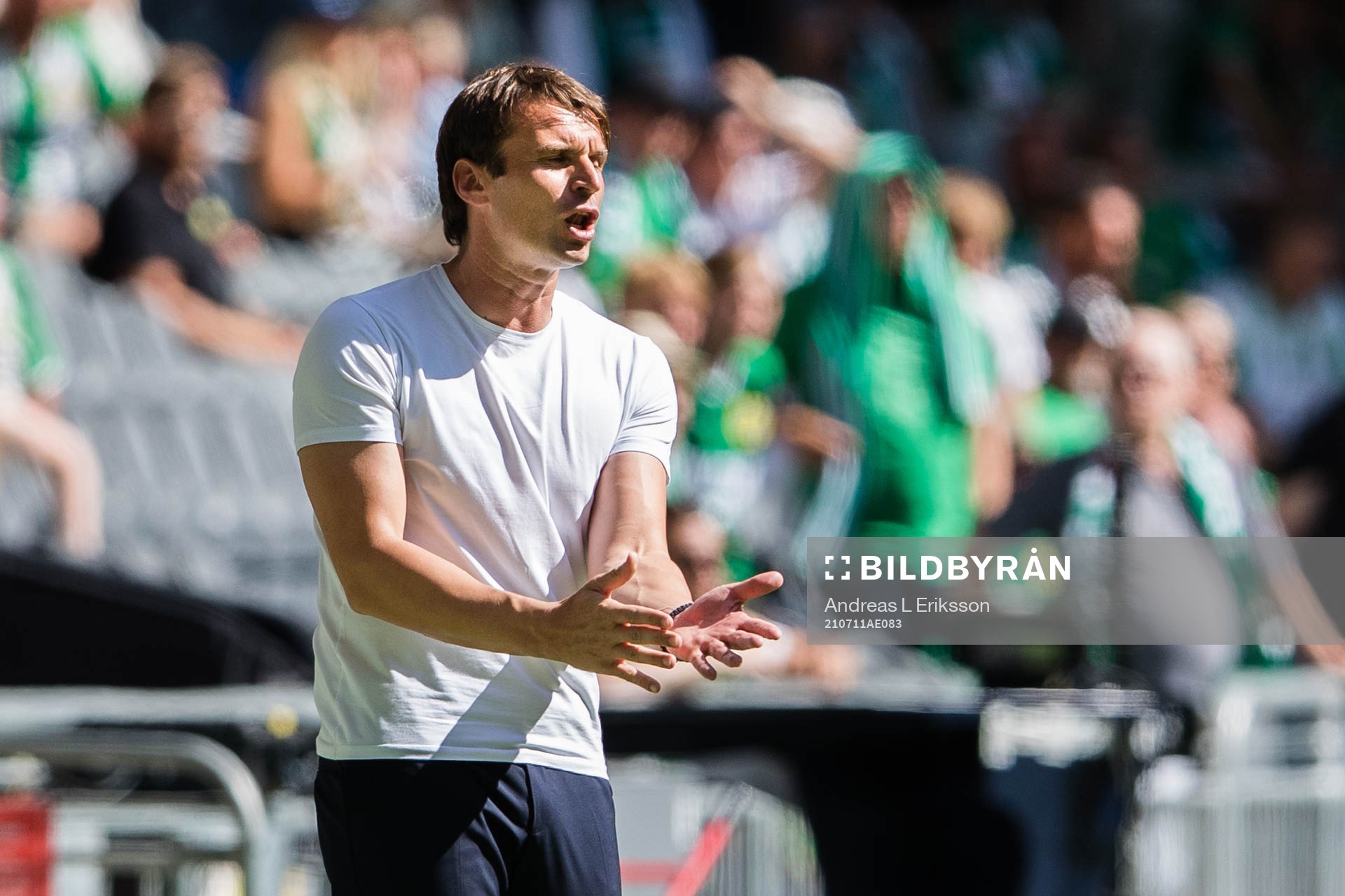 Hammarbys tränare Milos Milojevic