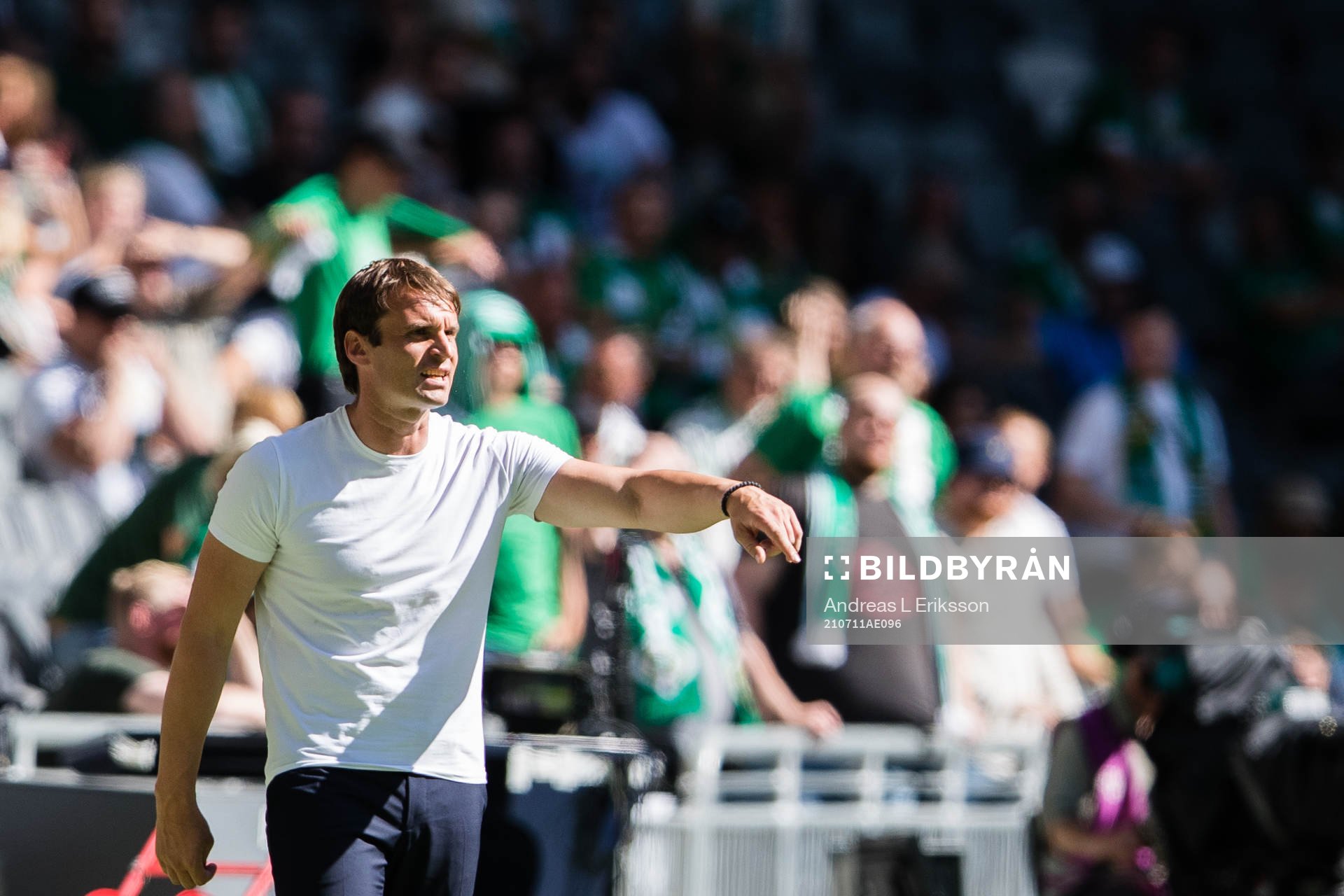 Hammarbys tränare Milos Milojevic
