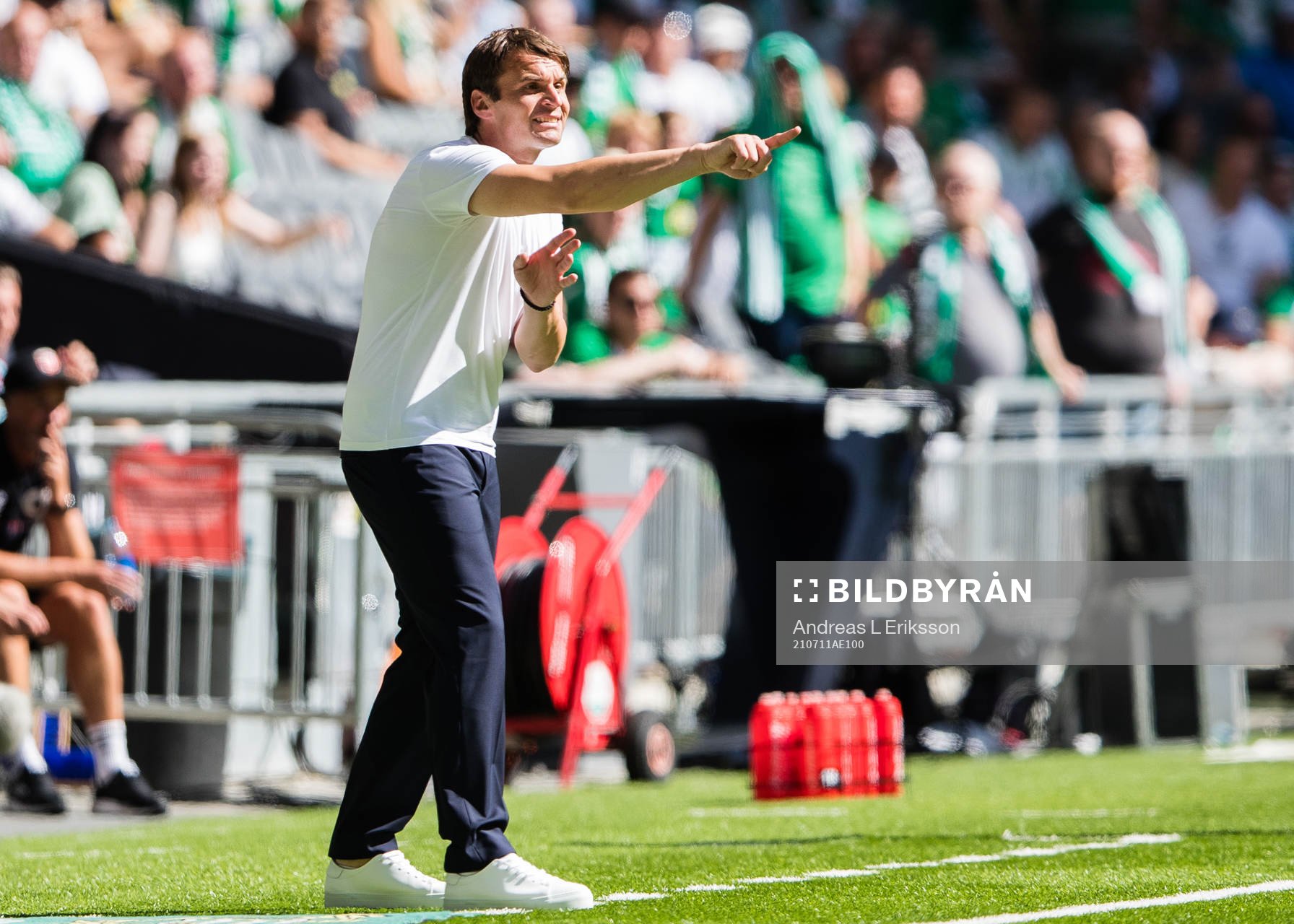 Hammarbys tränare Milos Milojevic