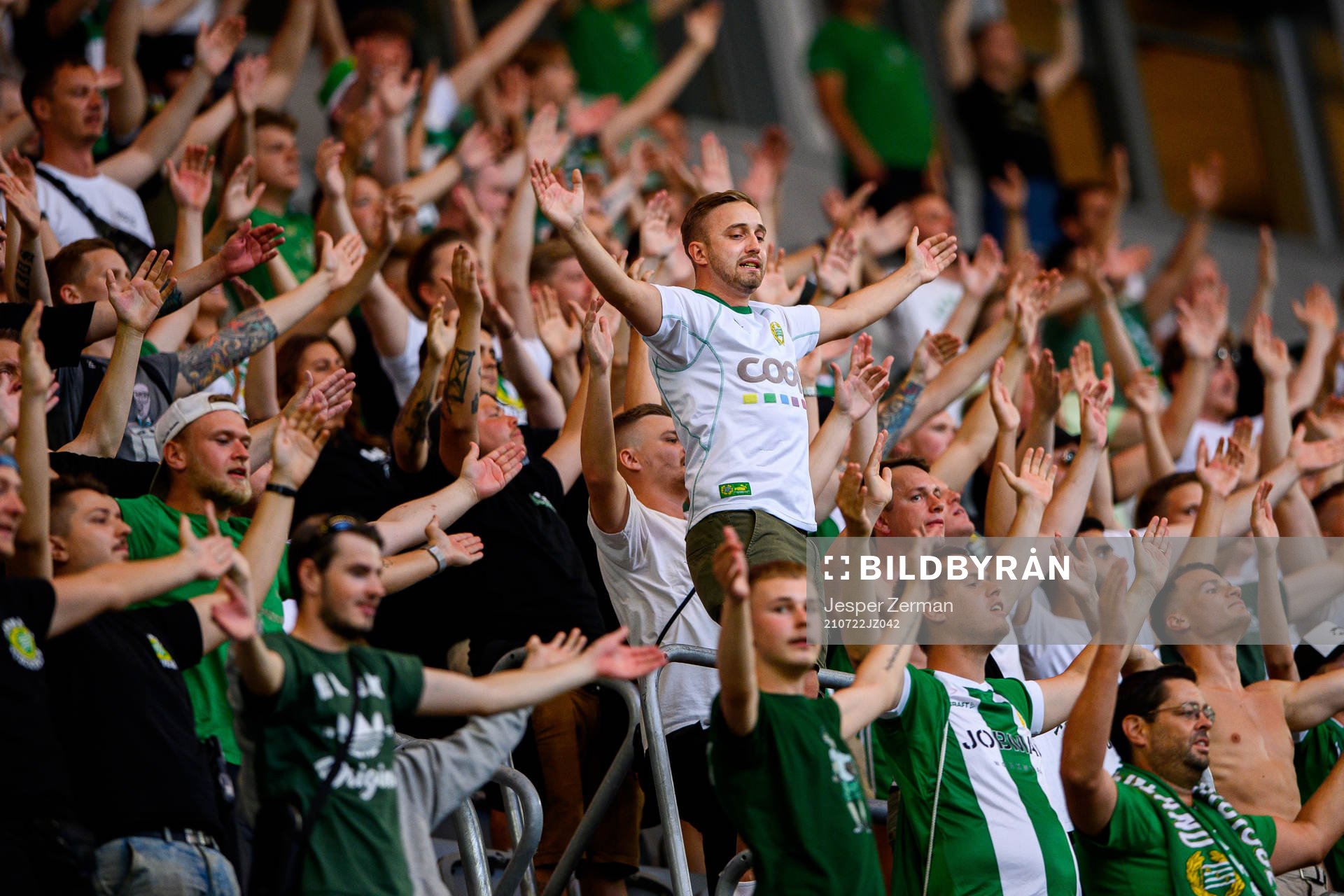 Fans of Hammarby