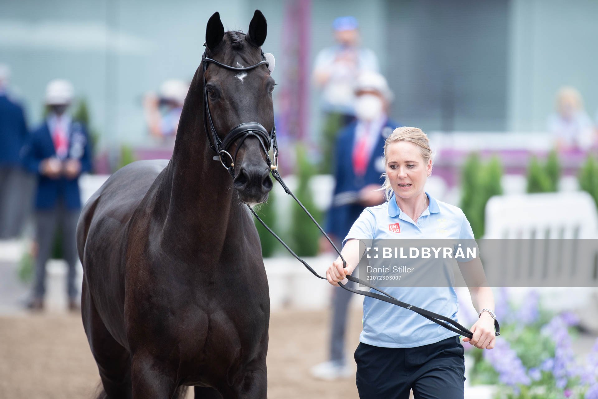 Antonia Ramel and the horse Brother de Jeu of the Swedish