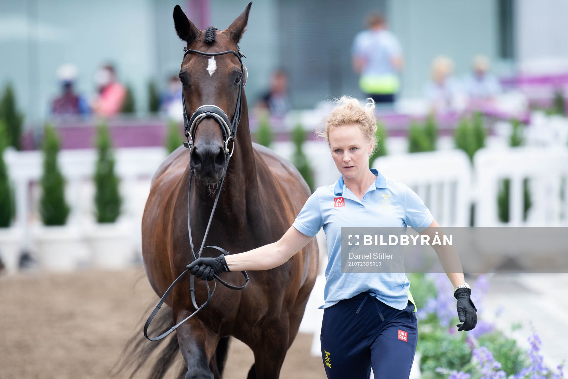Juliette Ramel and the horse Buriel K.H of the Swedish