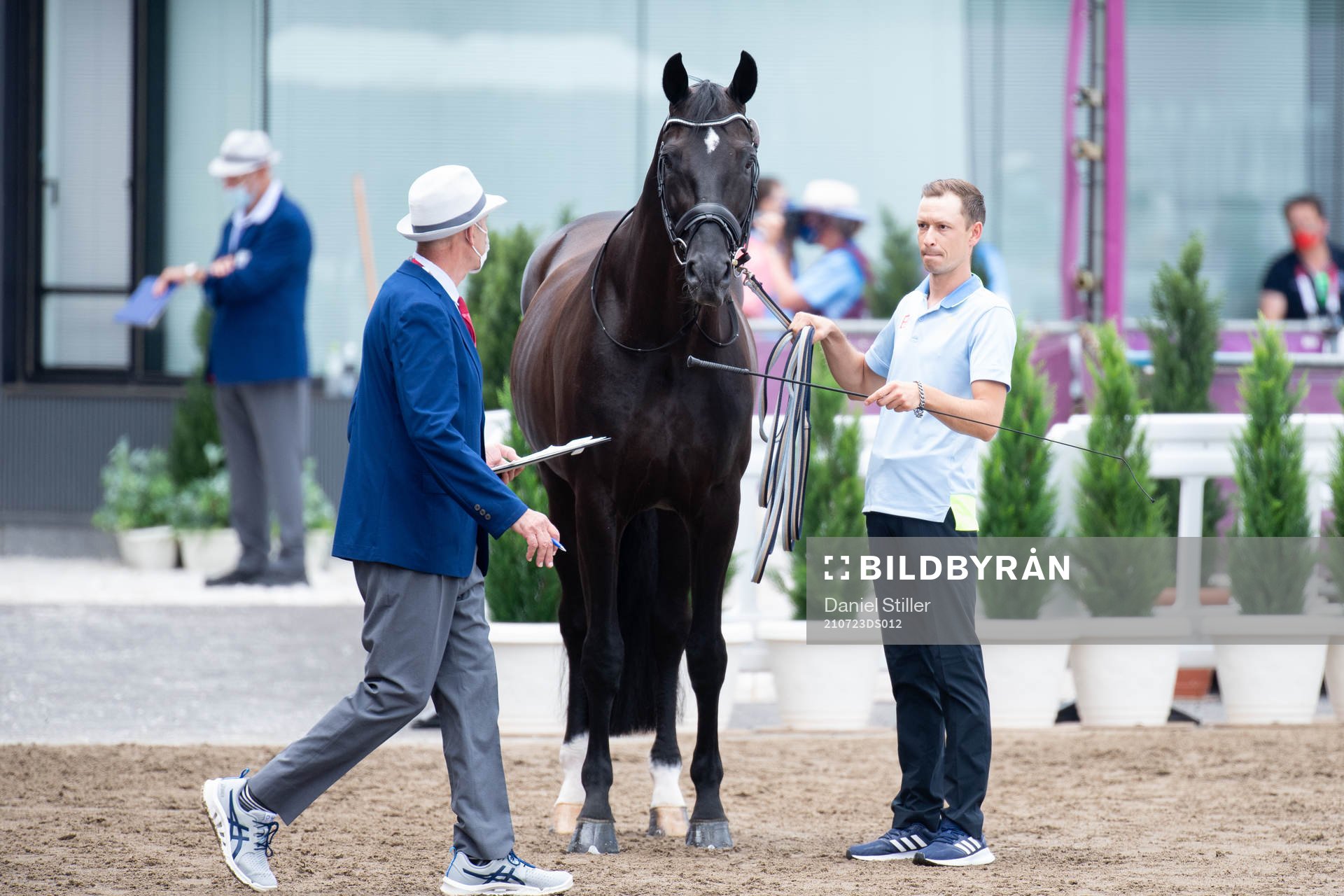 Horse keeper Sebastian Ulrich with the horse of Therese