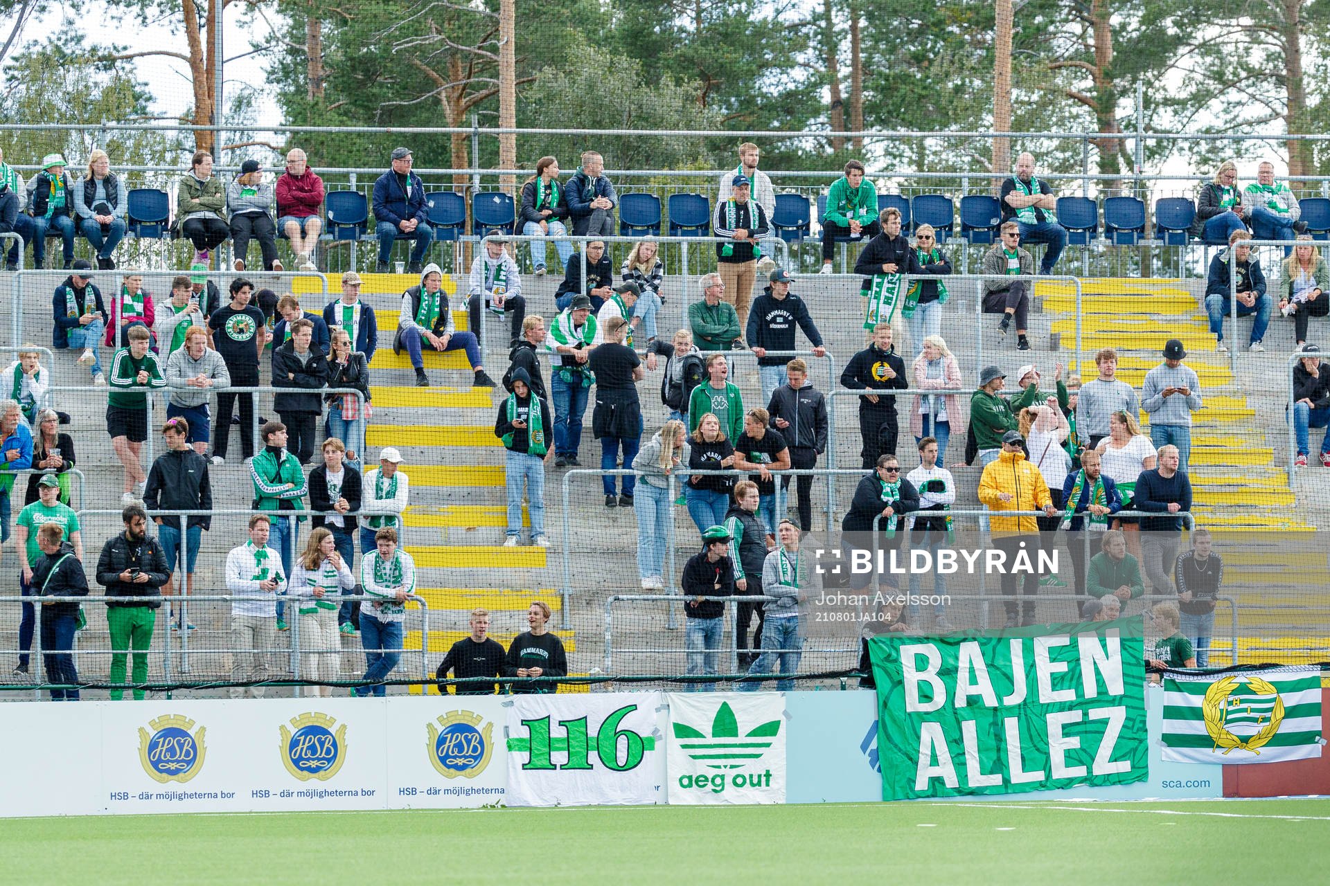 Hammarbys fans
