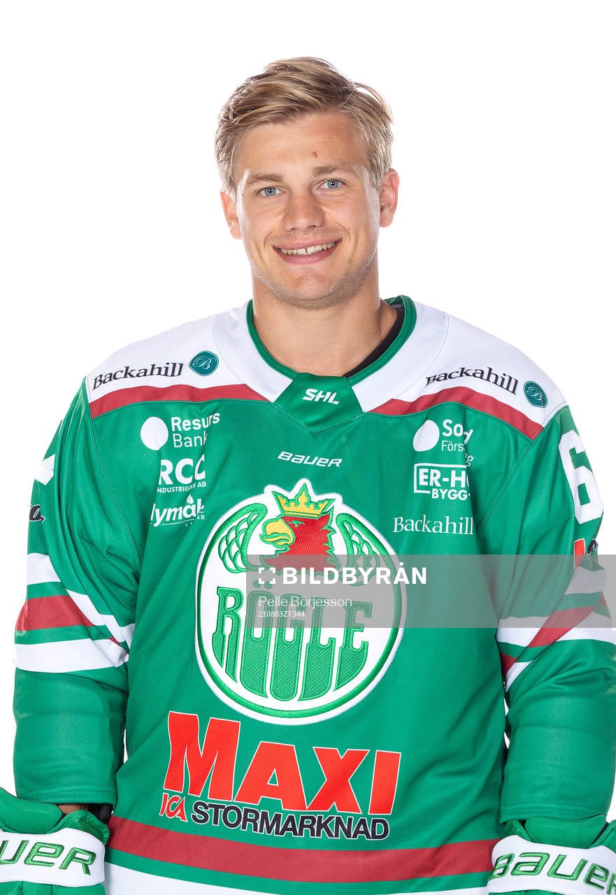 Rögles Leon Bristedt
