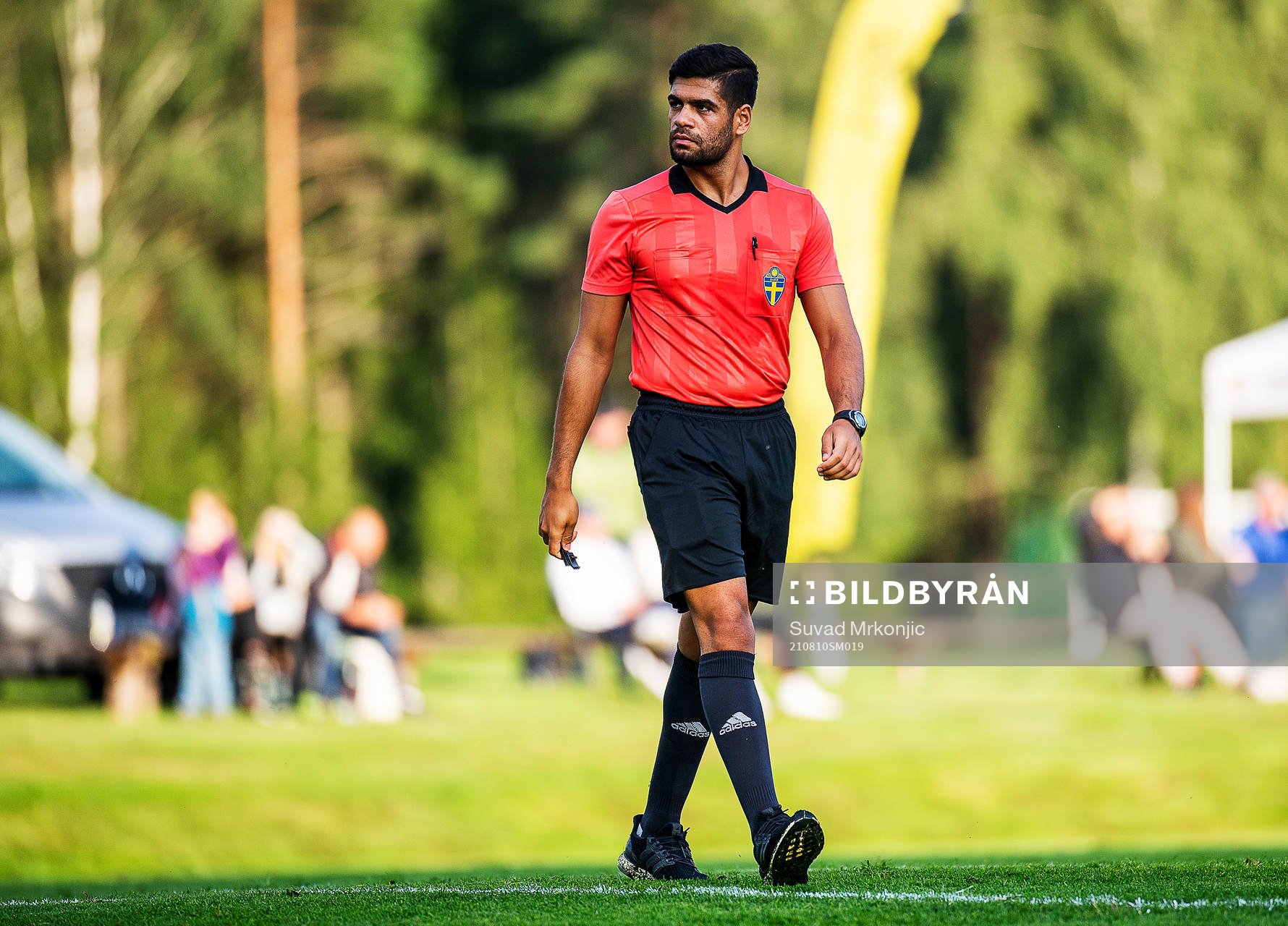 Domare Hassan Al-Saqr