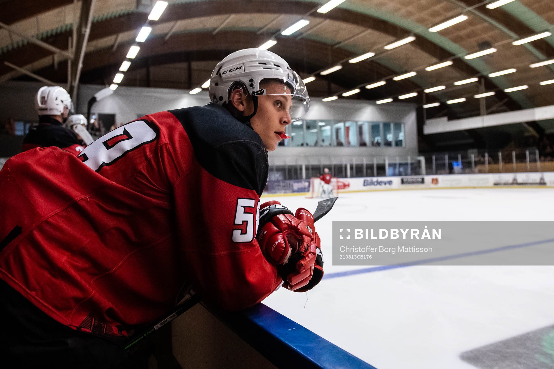 Malmö Redhawks Tim Lindfors