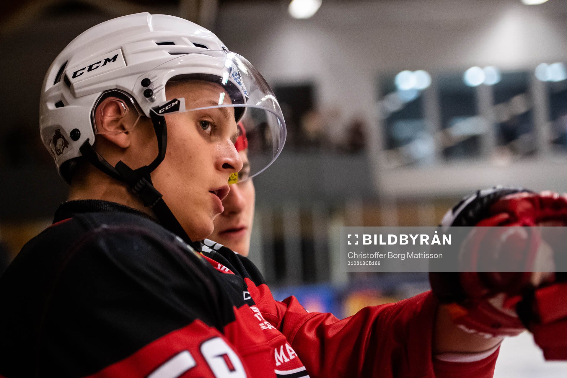 Malmö Redhawks Tim Lindfors