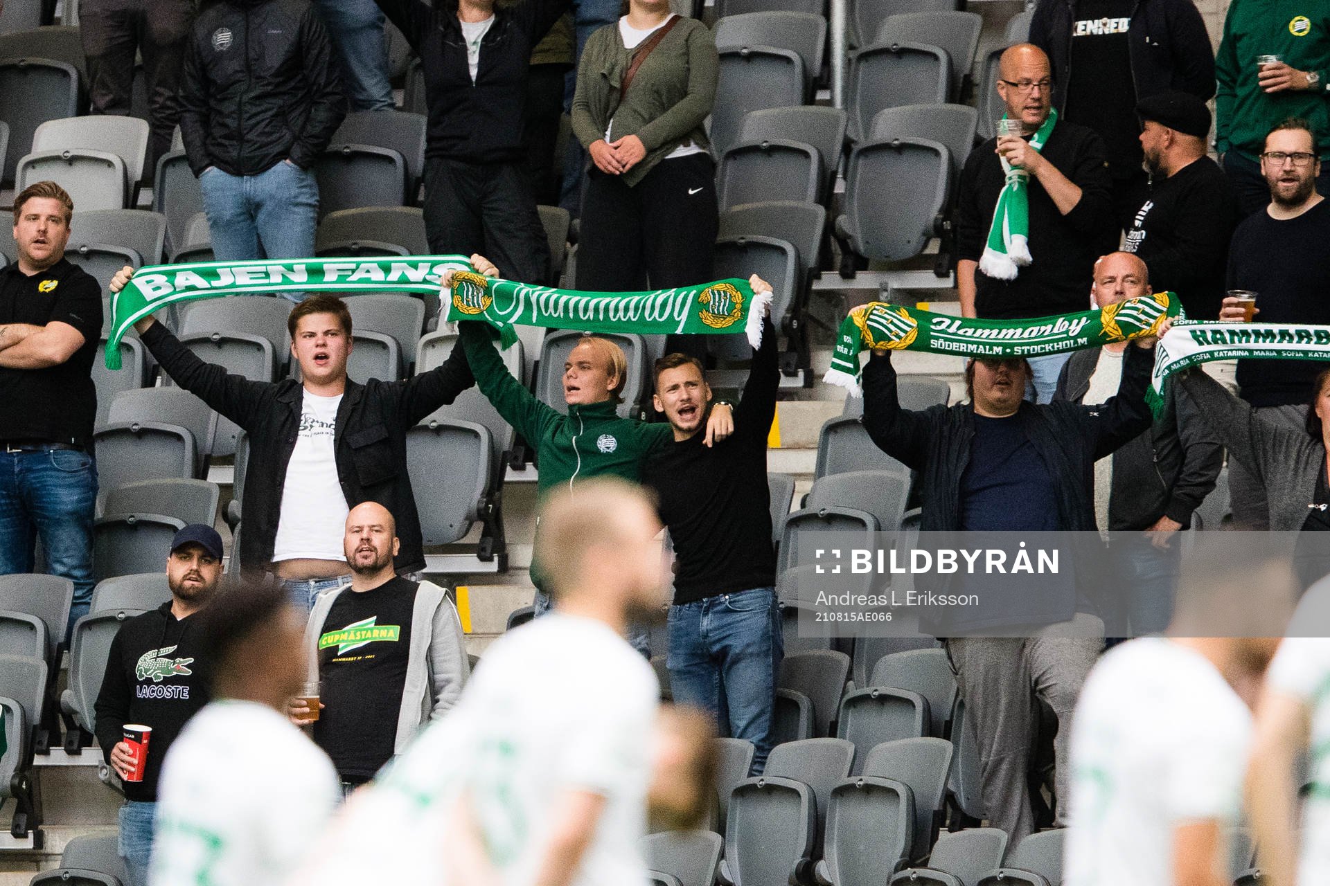Supportrar till Hammarby