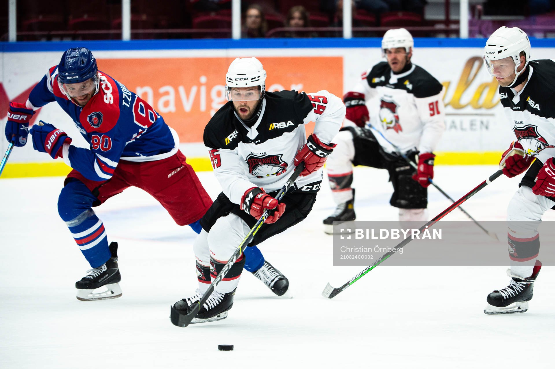 Malmö Redhawks Alexander Molldén