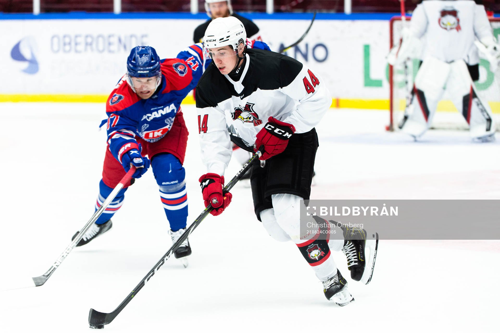 Malmö Redhawks Carl-Johan Sälle