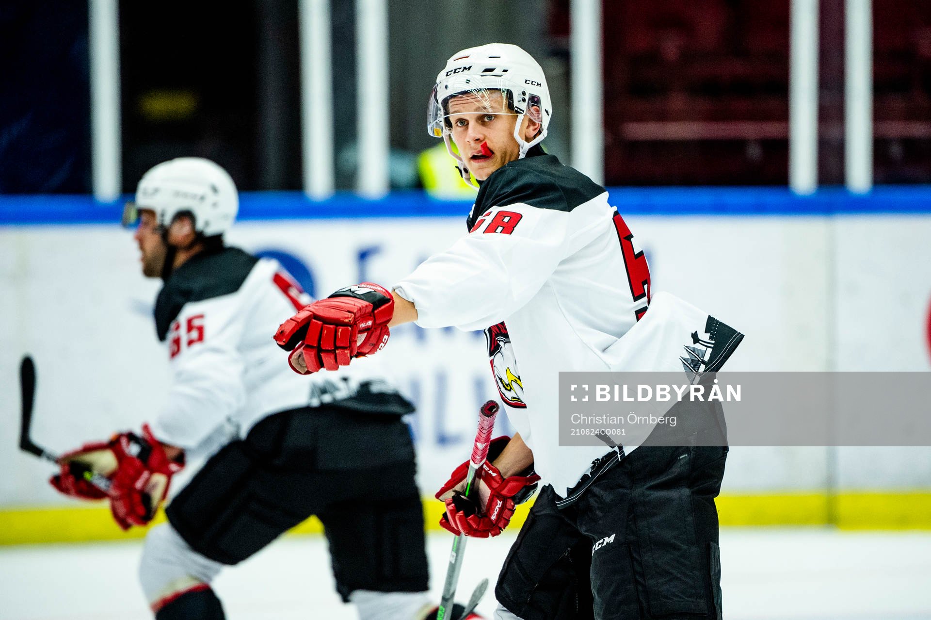 Malmö Redhawks Tim Lindfors