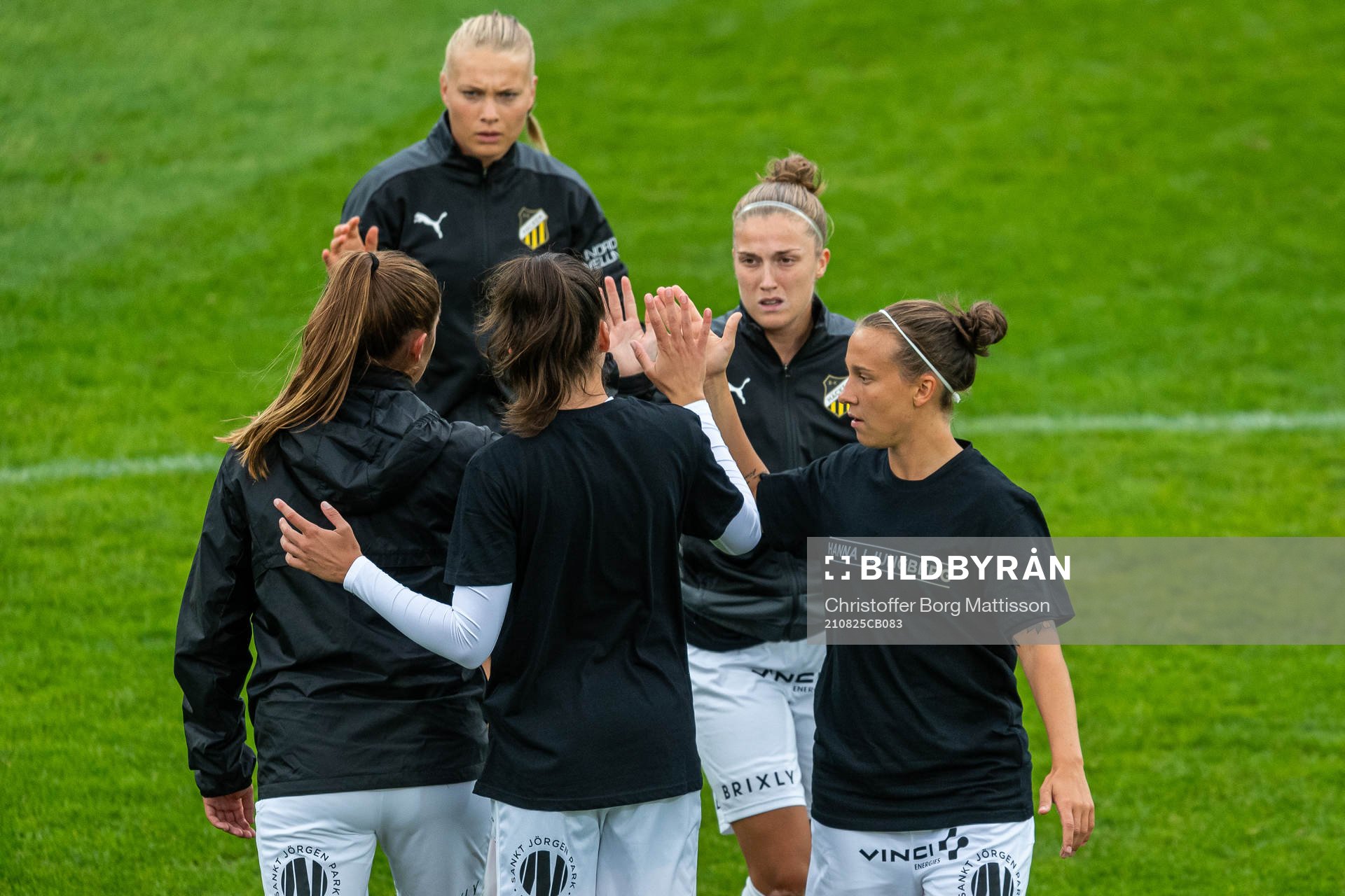 Häckens spelare