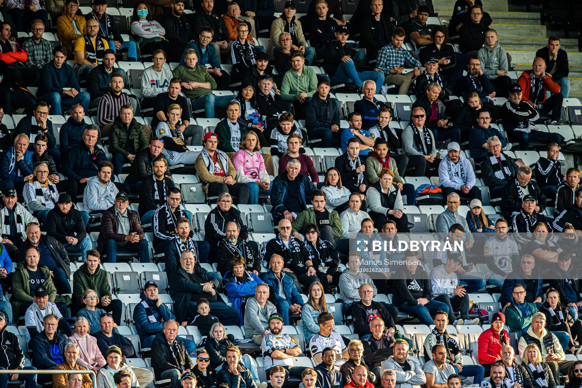 Spectators in the stands