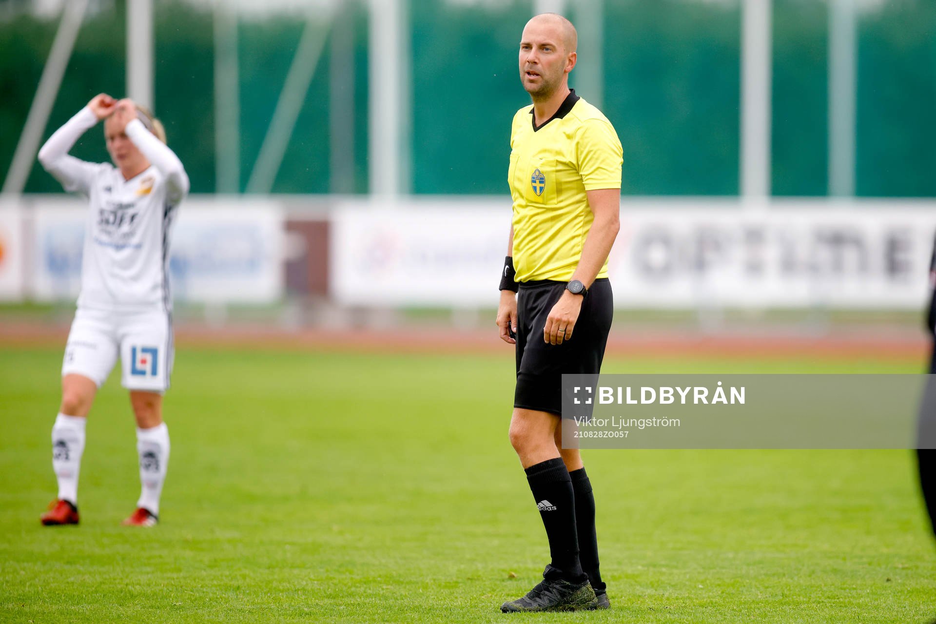 Domare Jesper Bankemyhr
